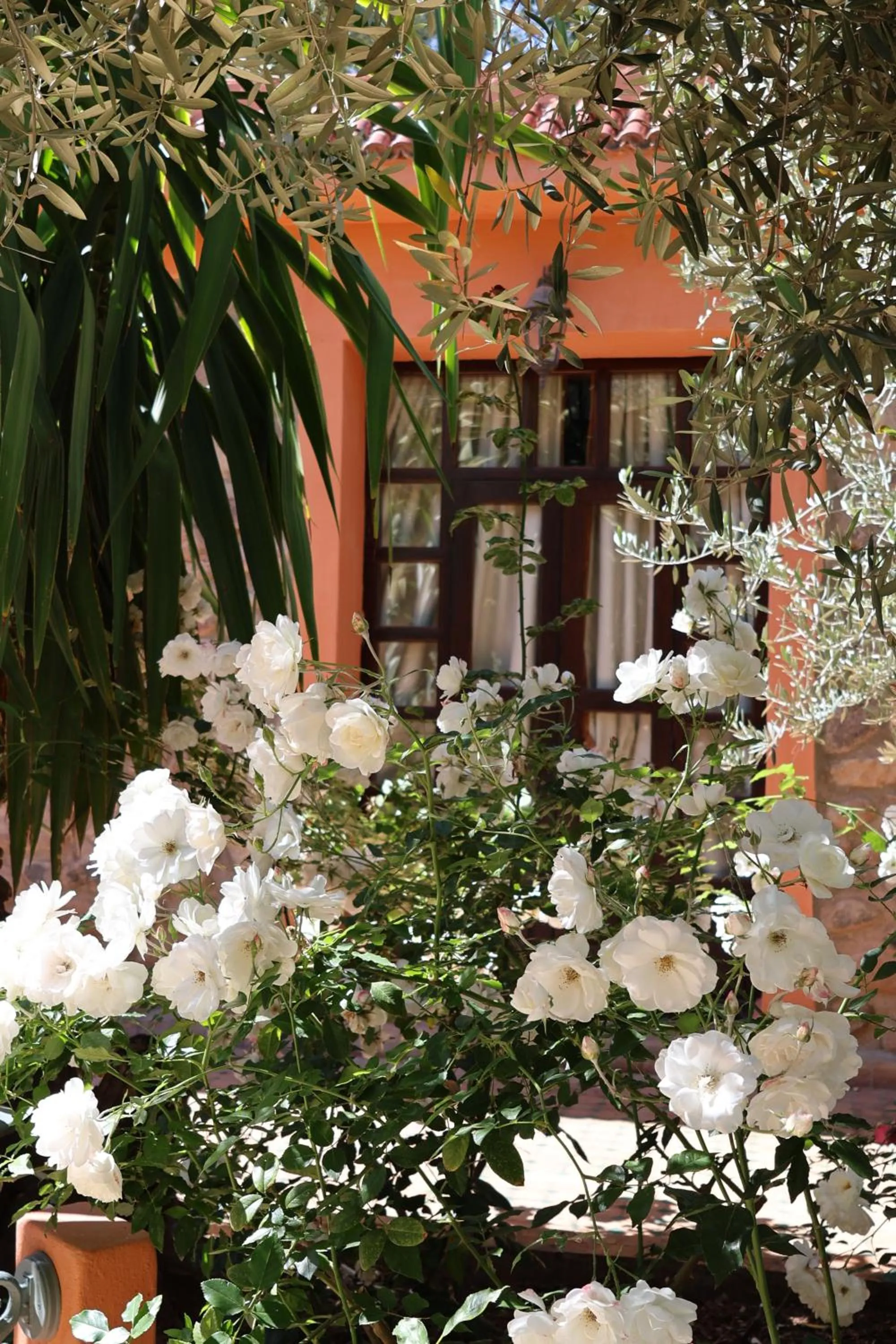 Natural landscape in Domaine de la Roseraie Resort