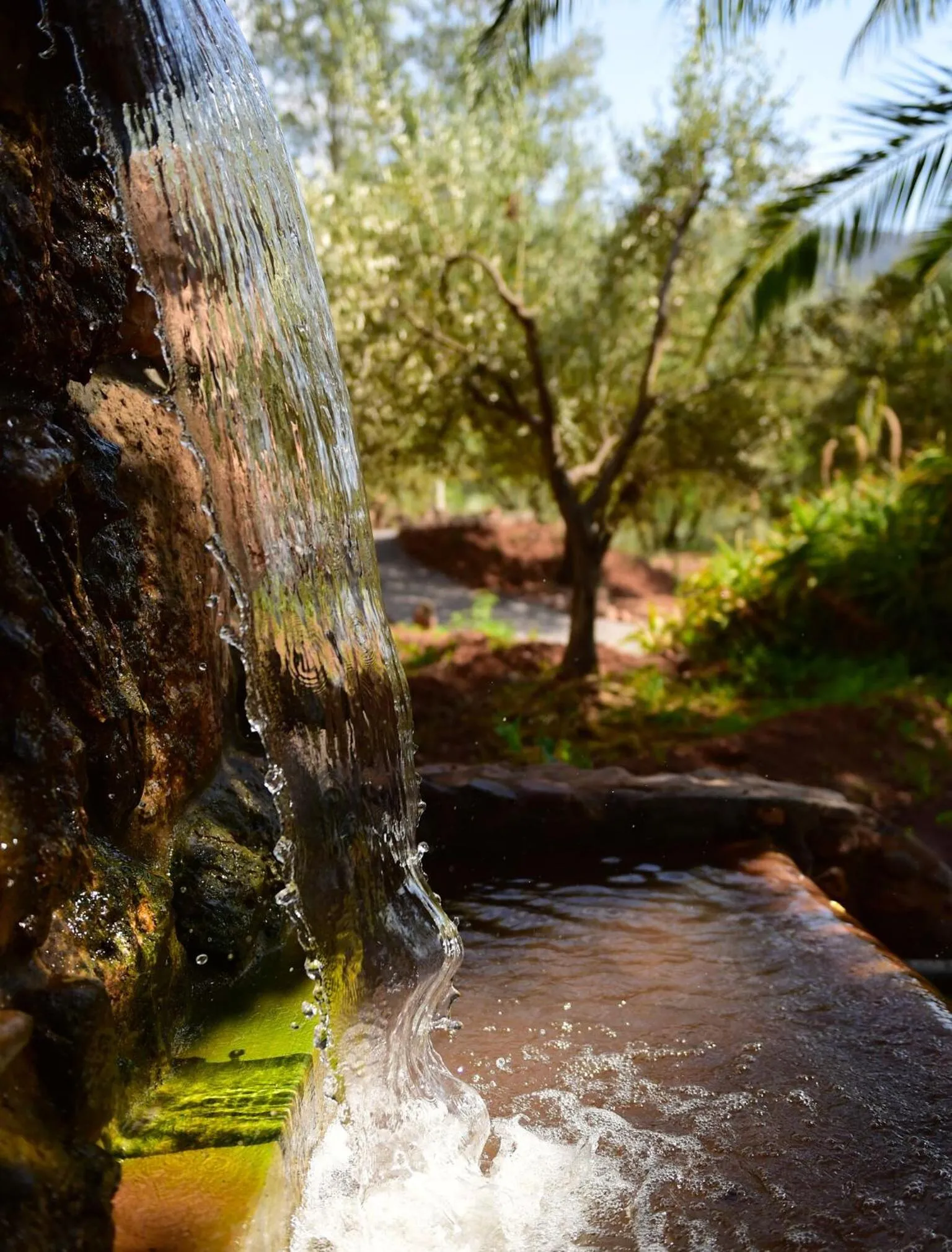 Garden in Domaine de la Roseraie Resort
