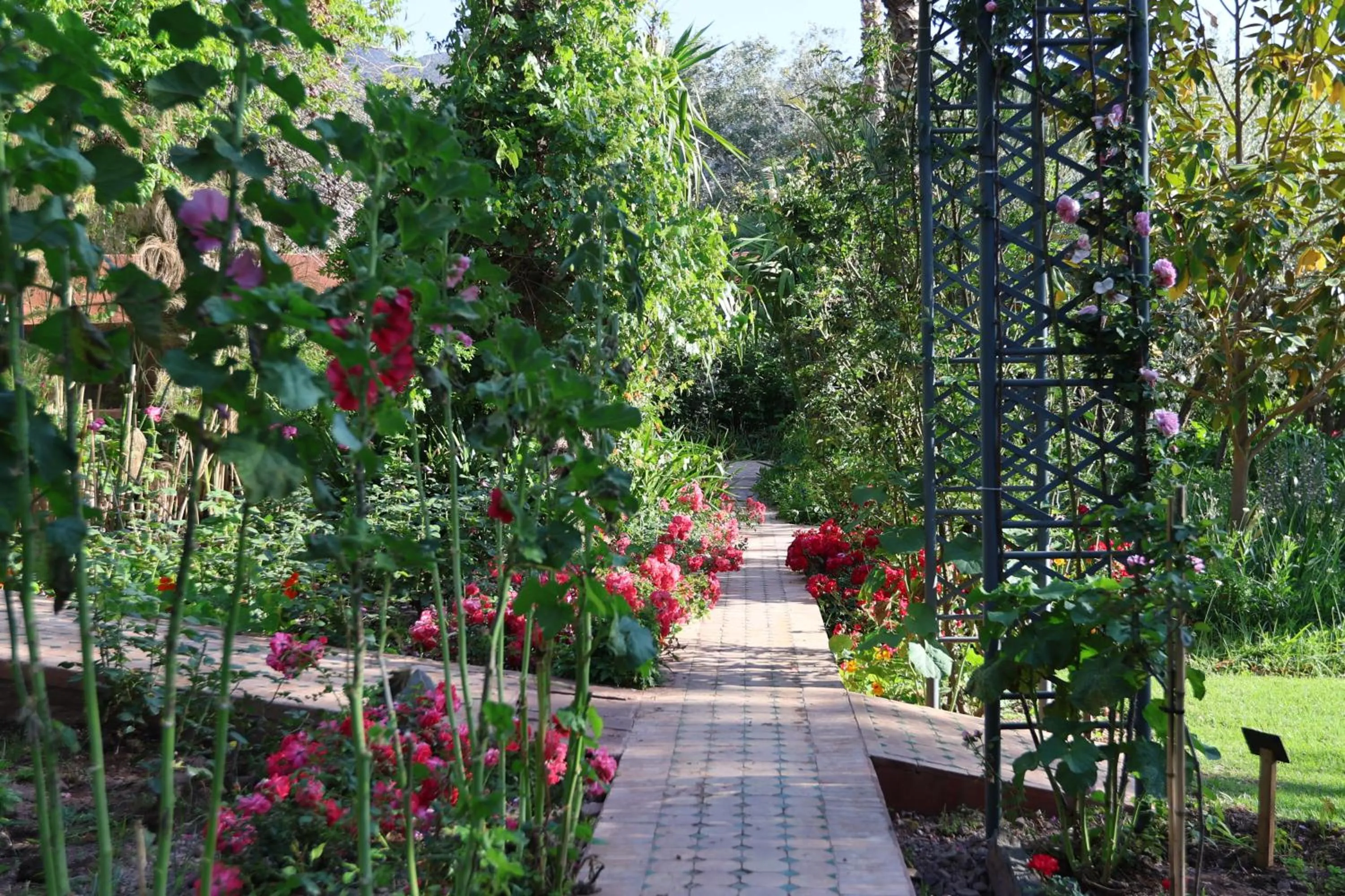 Patio in Domaine de la Roseraie Resort