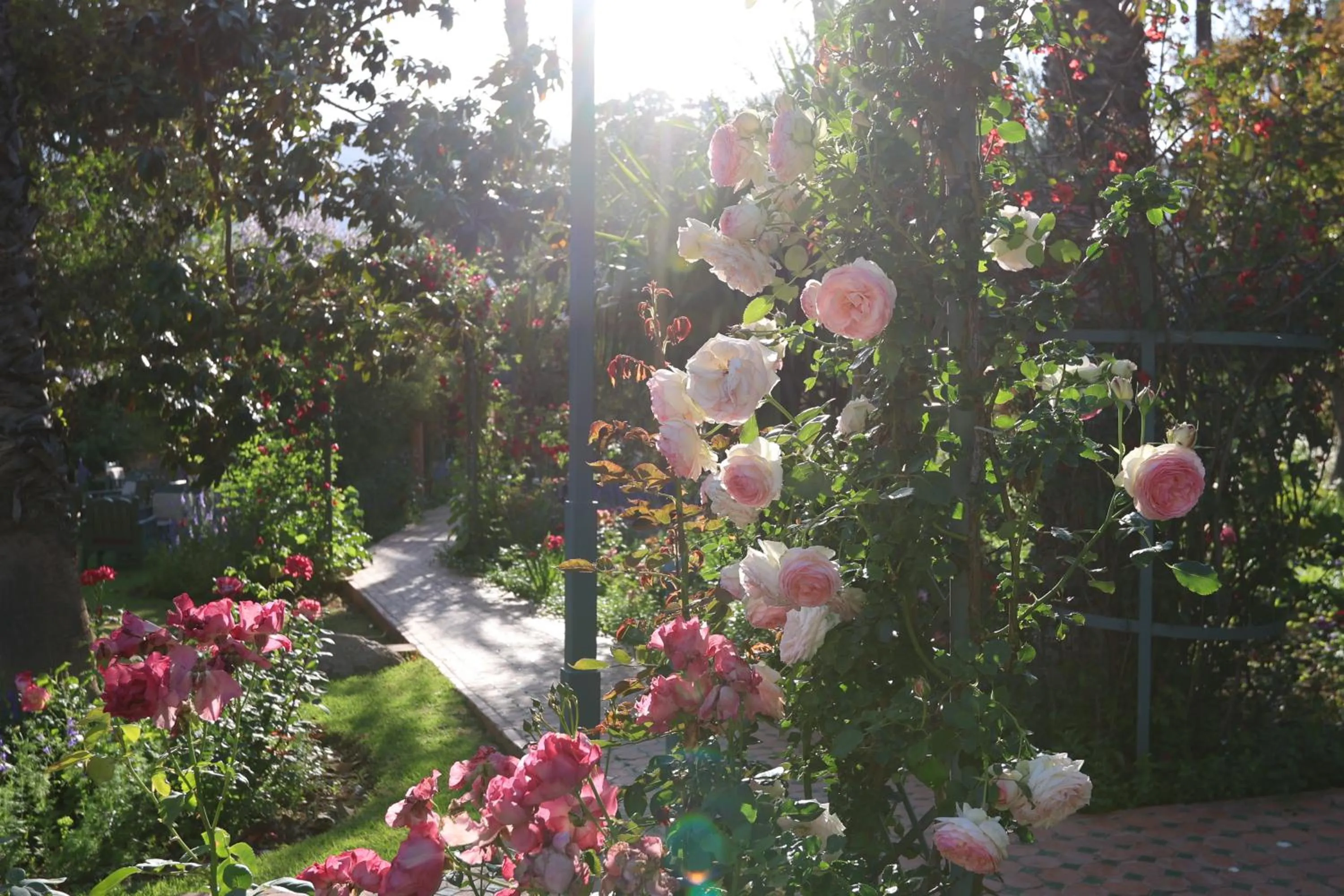 Natural landscape in Domaine de la Roseraie Resort
