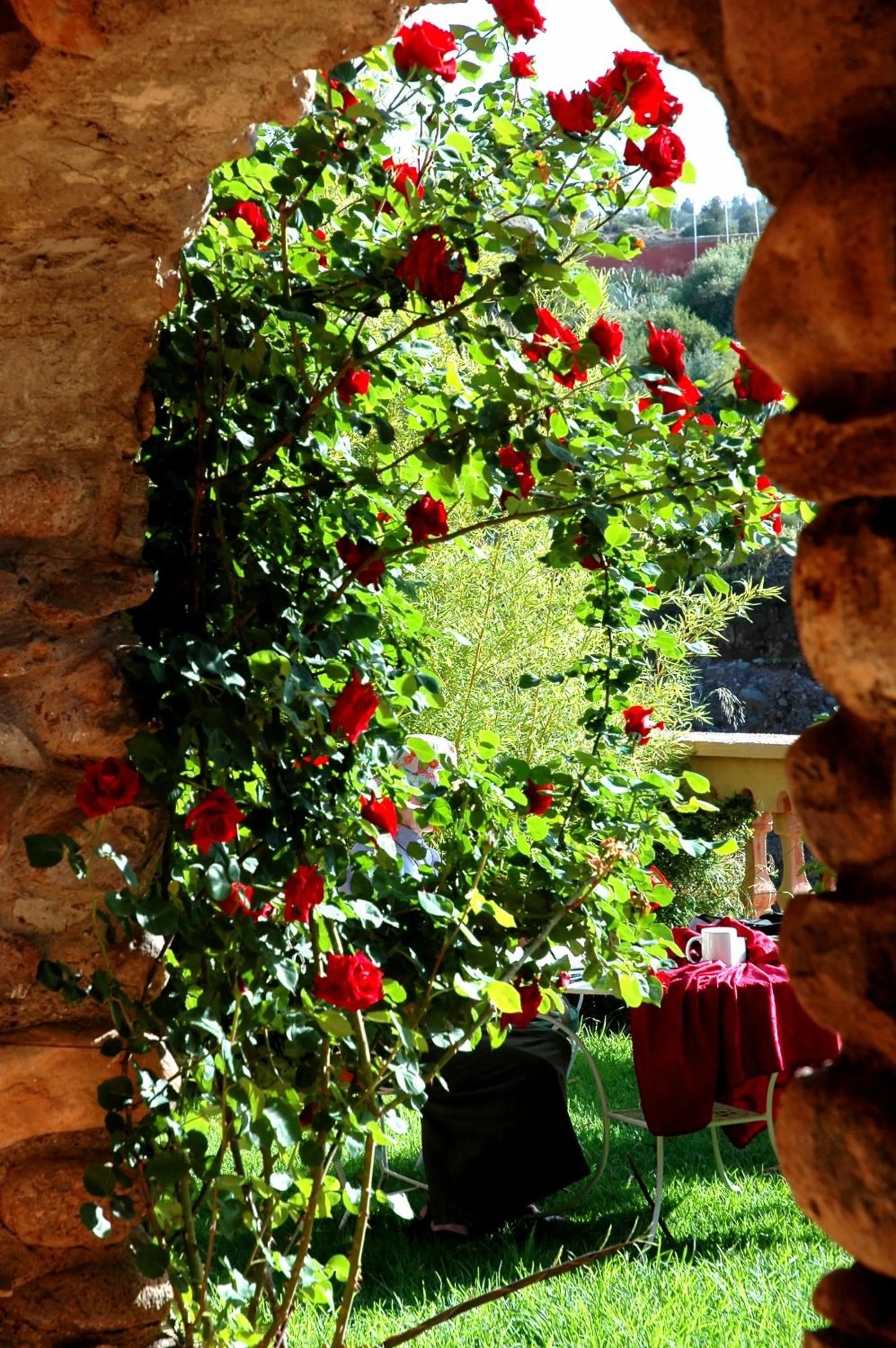 Garden in Domaine de la Roseraie Resort
