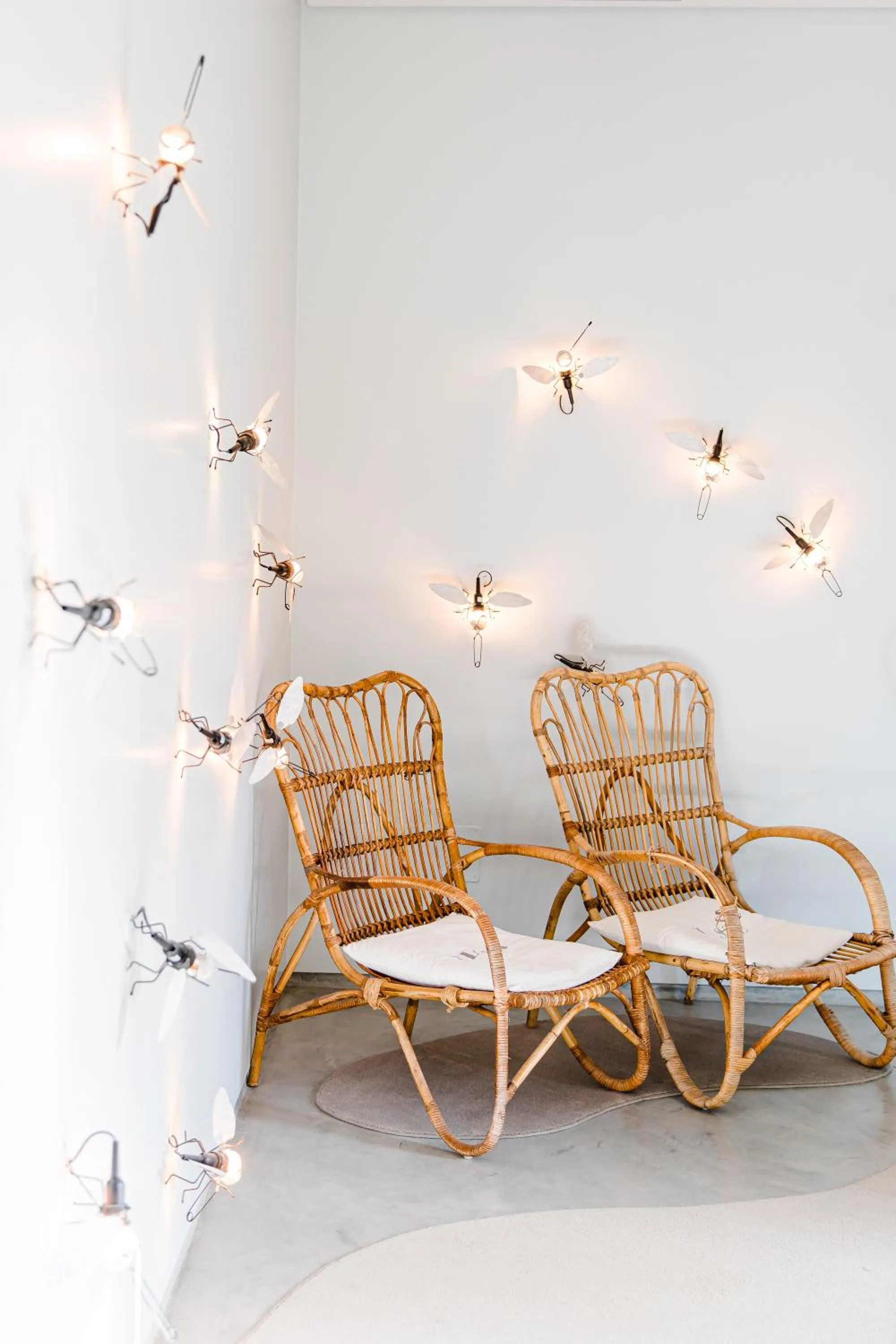 Cooking and Nature - Emotional Hotel