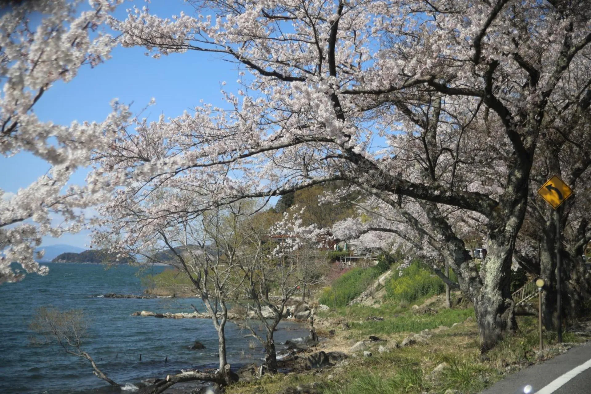 Spring in Stay Omihachiman Ekimae Inn