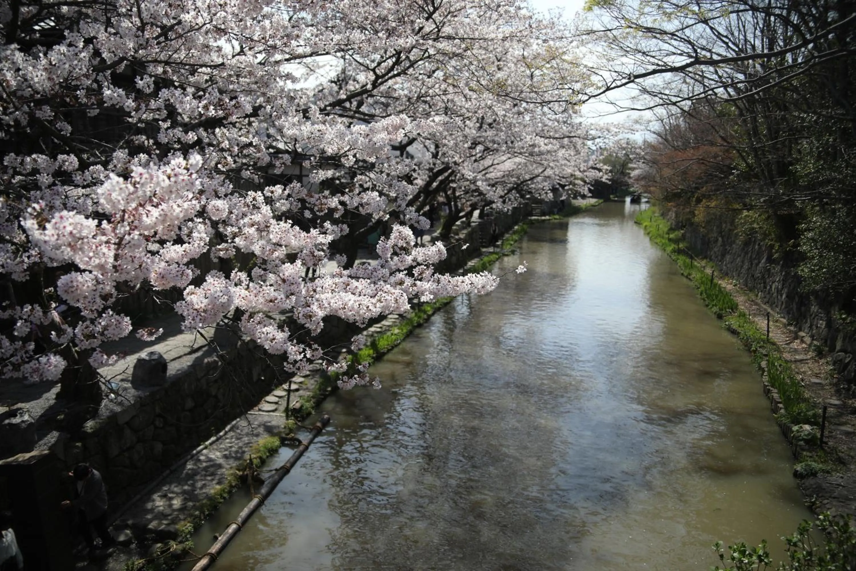 Natural landscape in Stay Omihachiman Ekimae Inn