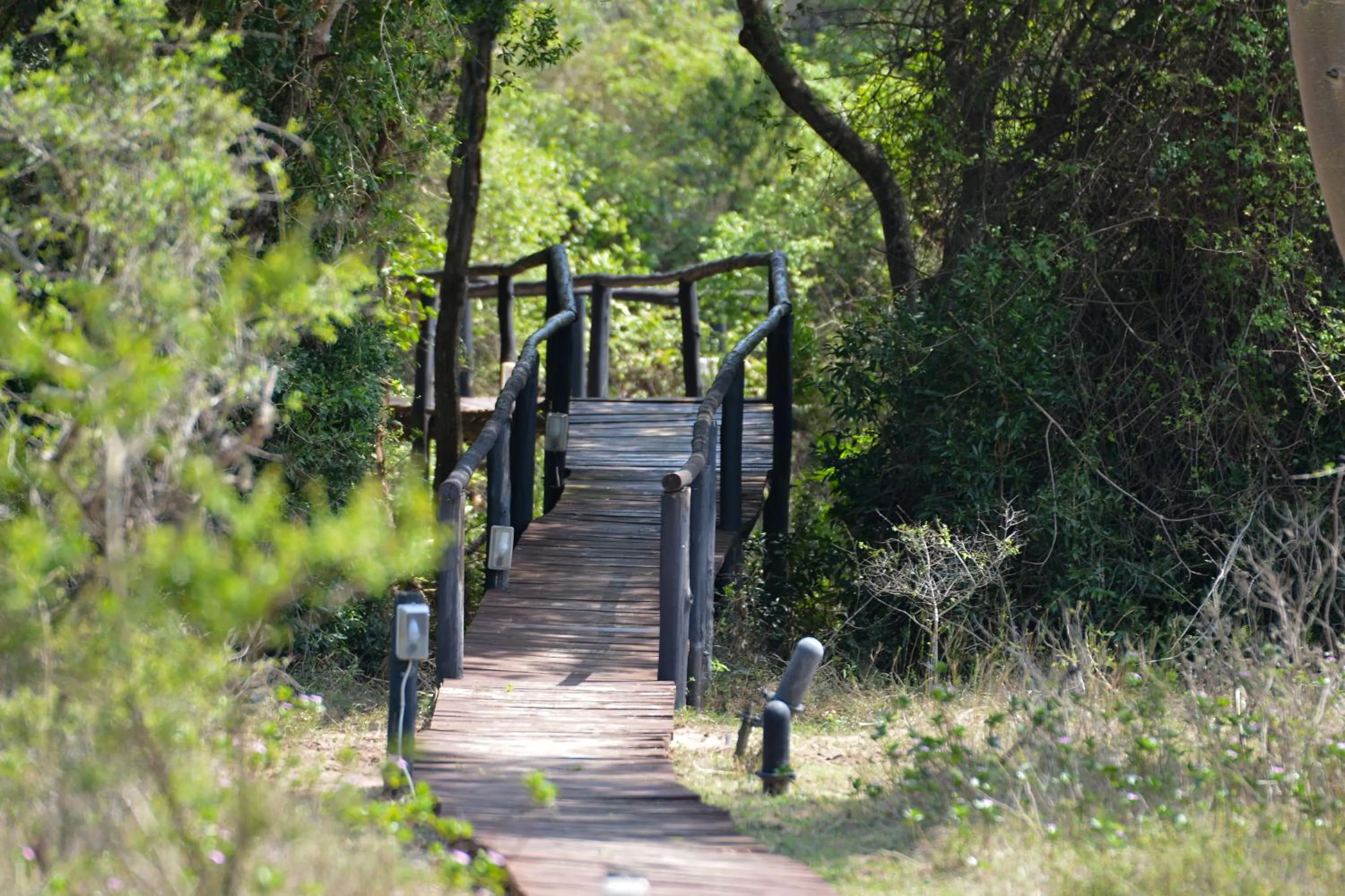 Natural landscape in Gooderson Bushlands Game Lodge