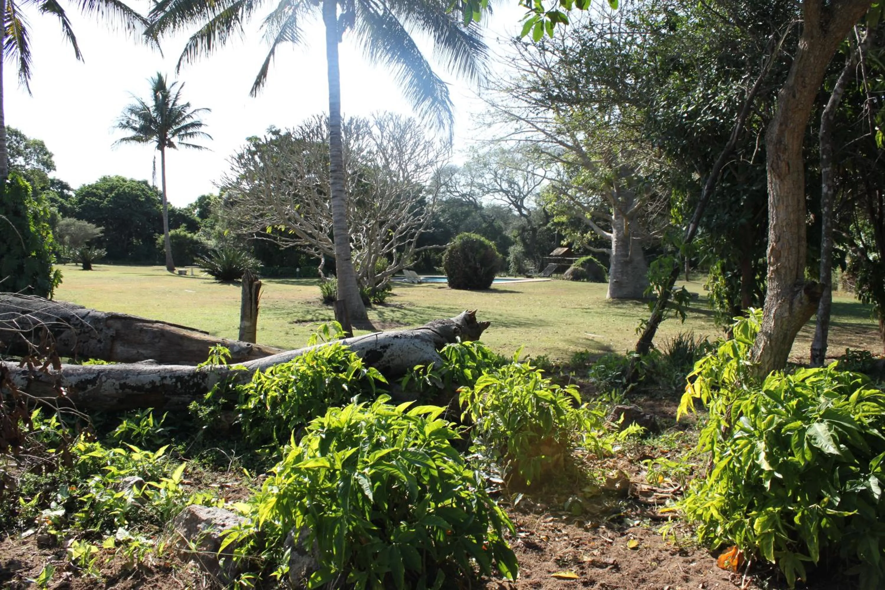 Garden in Gooderson Bushlands Game Lodge