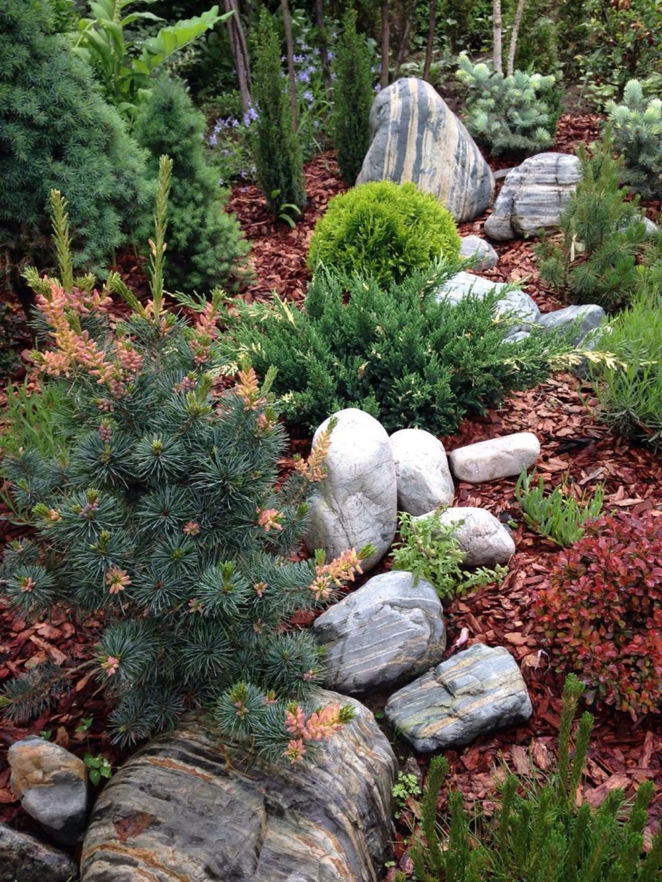 Garden in Grand Hotel