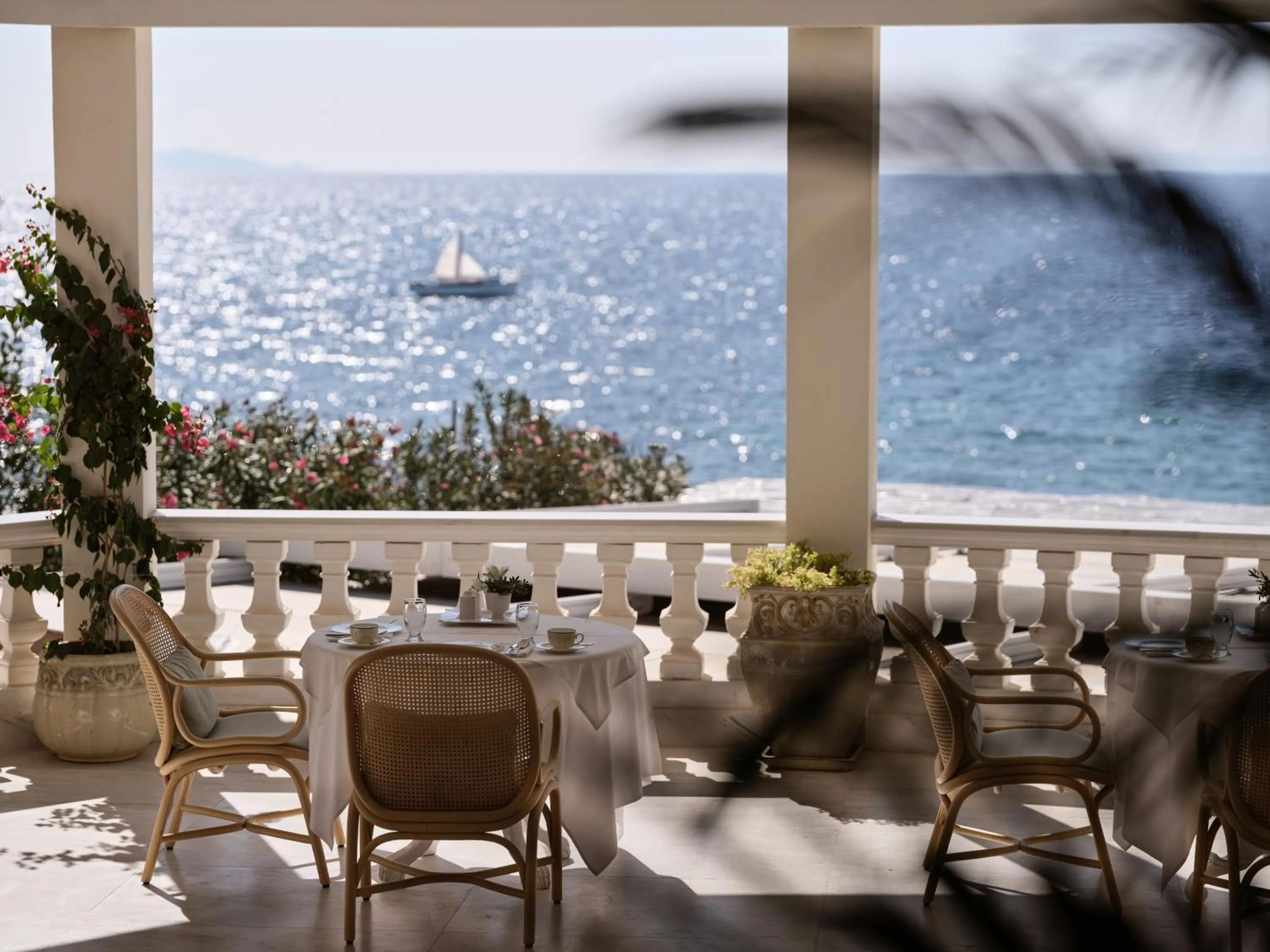 Restaurant/places to eat in The Danai