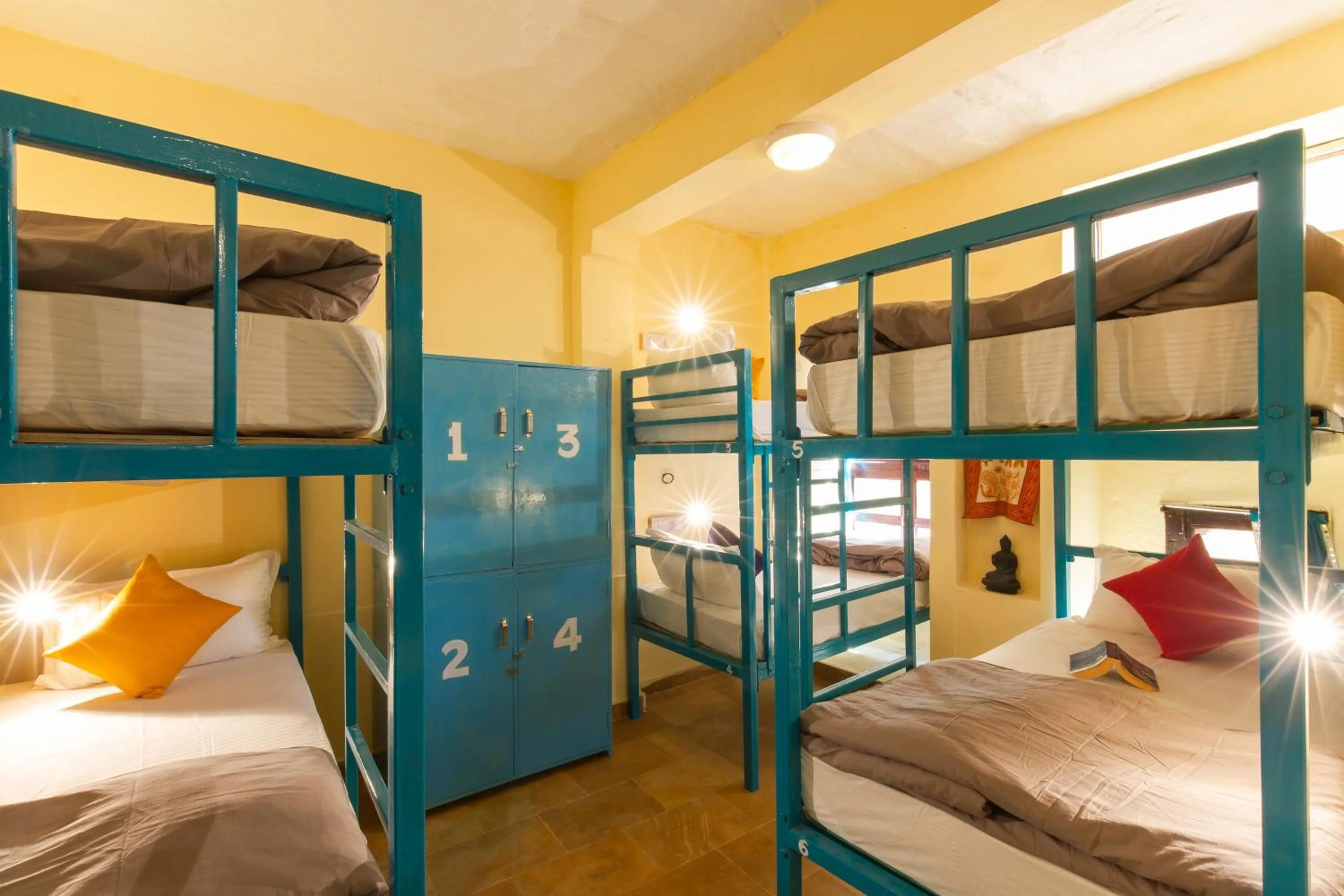 bunk bed, Bed in Zostel Jaisalmer
