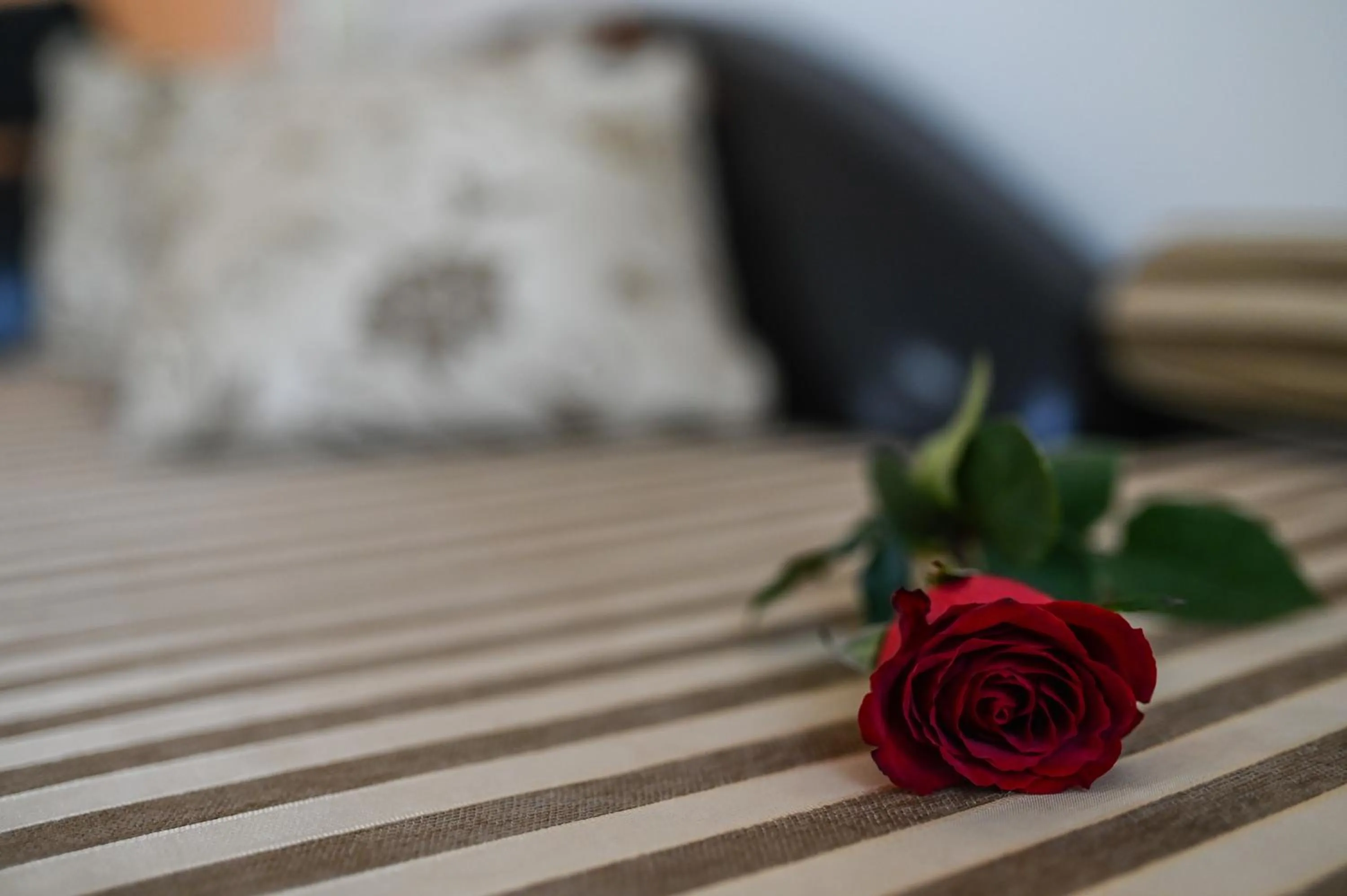 Seating area in Garni Hotel Dash