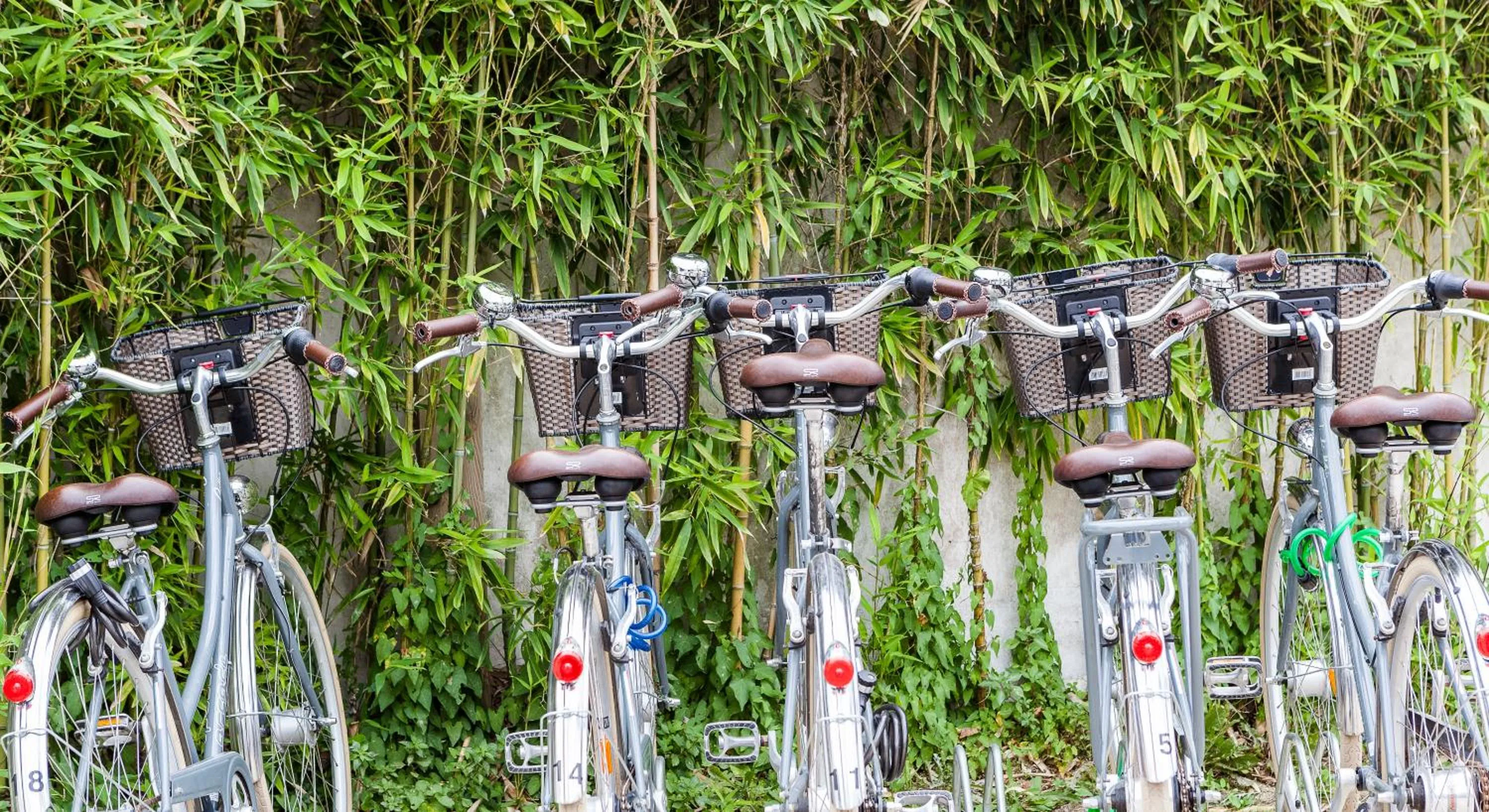 Activities in Hotel Les Bois Flottais