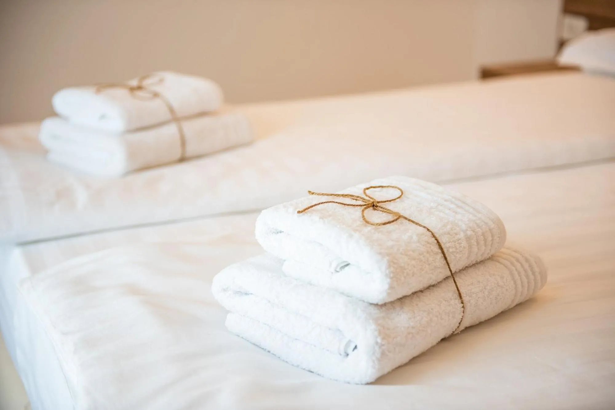 Bed in Pensiunea Carul cu flori