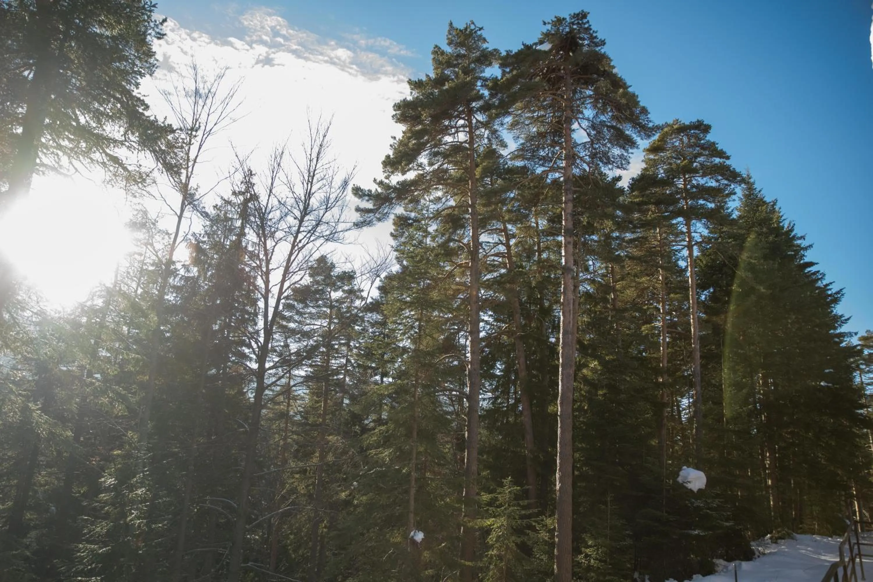 Natural landscape in Hotel Borovets Edelweiss