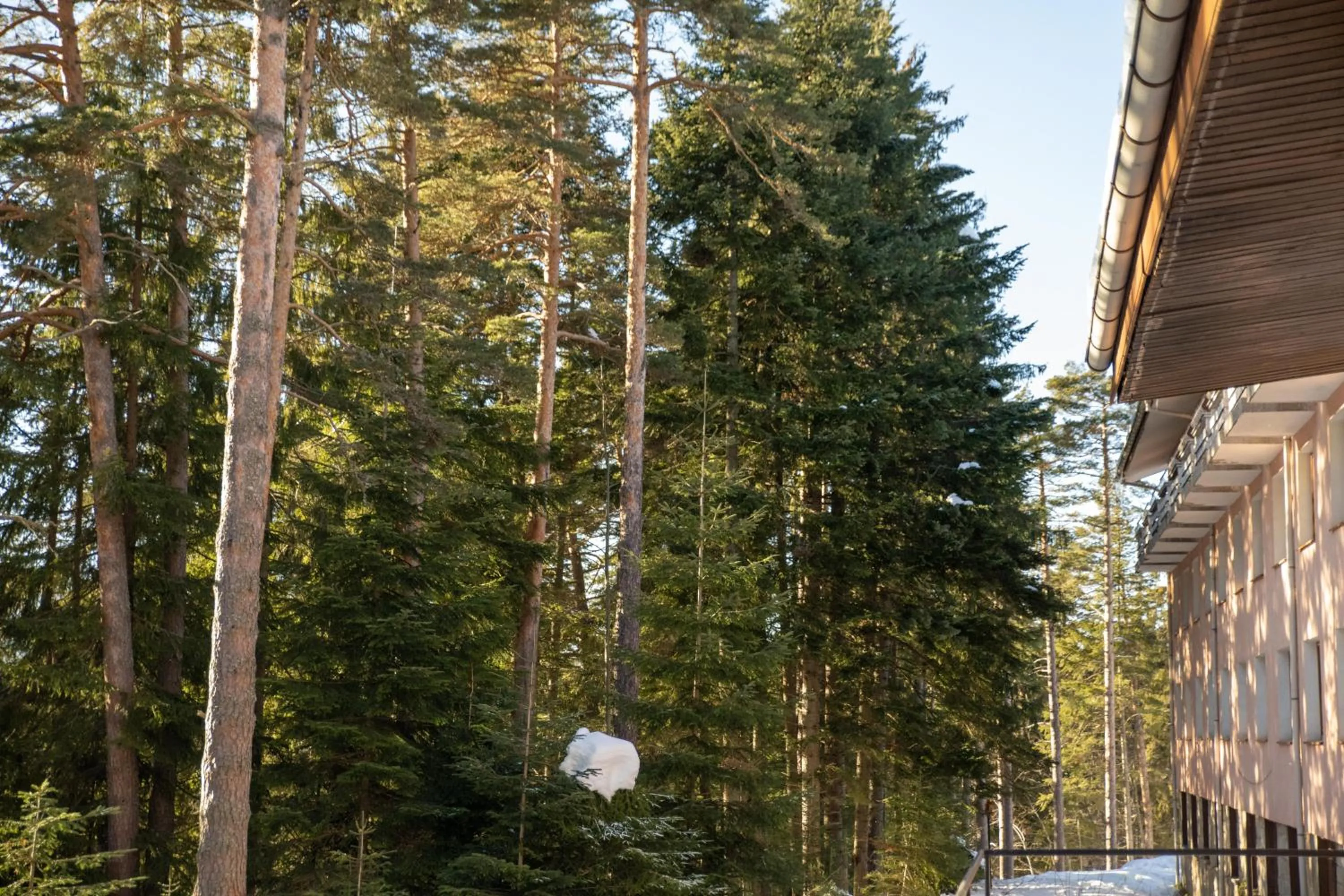 Property building in Hotel Borovets Edelweiss