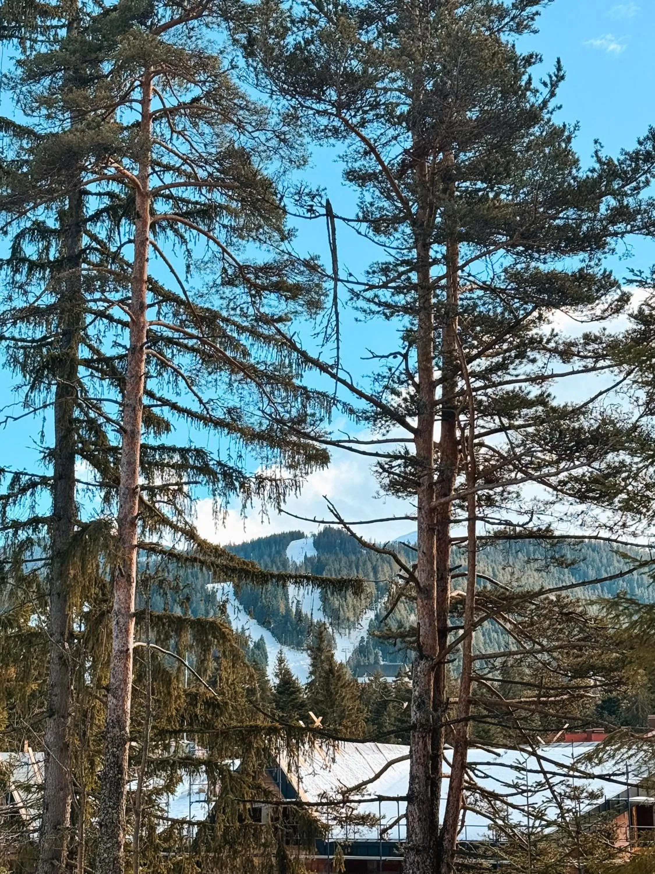 View (from property/room) in Hotel Borovets Edelweiss