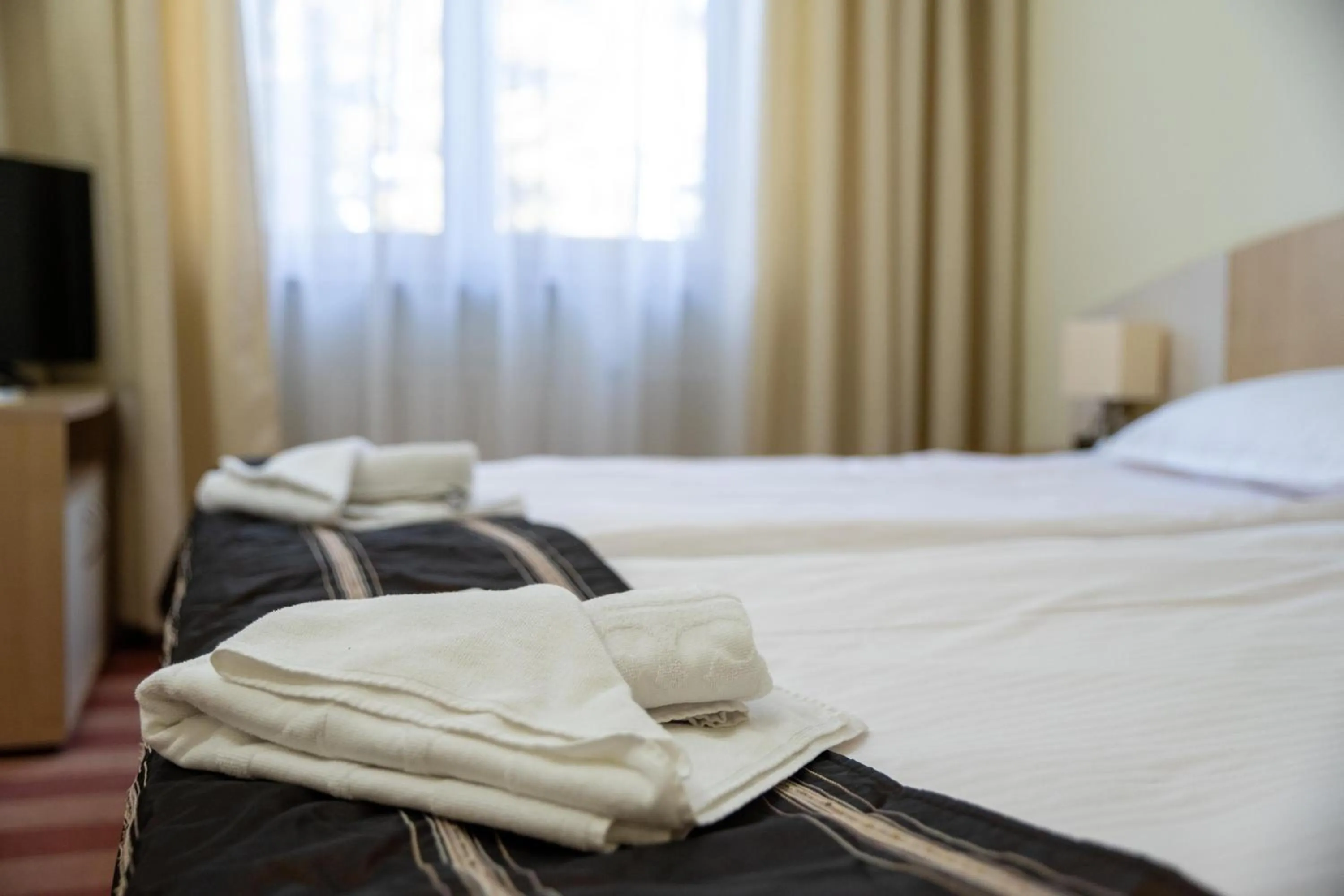 Bed in Hotel Borovets Edelweiss