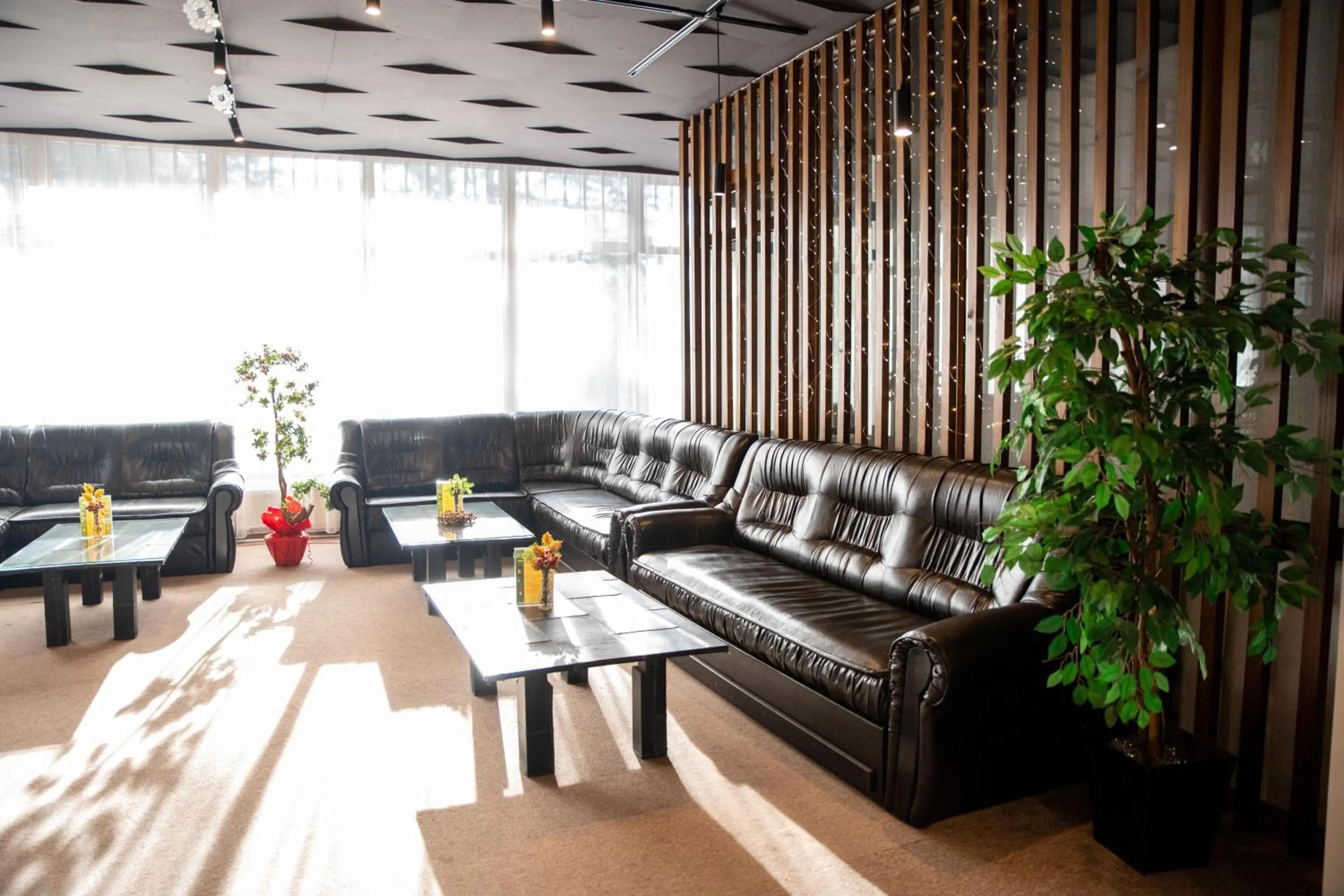 Lobby or reception in Hotel Borovets Edelweiss