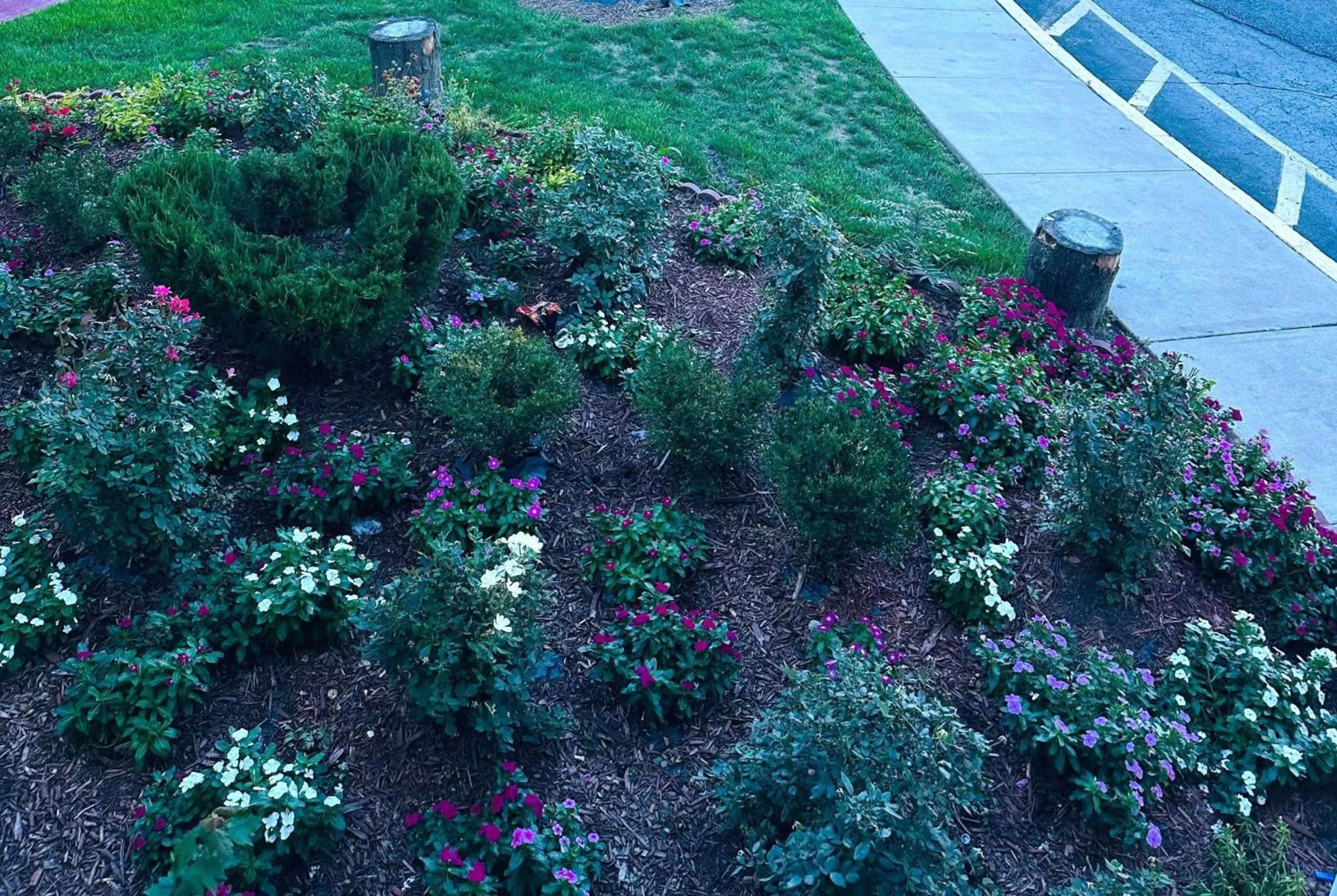 Other in Baymont Inn and Suites by Wyndham Columbus / Near OSU