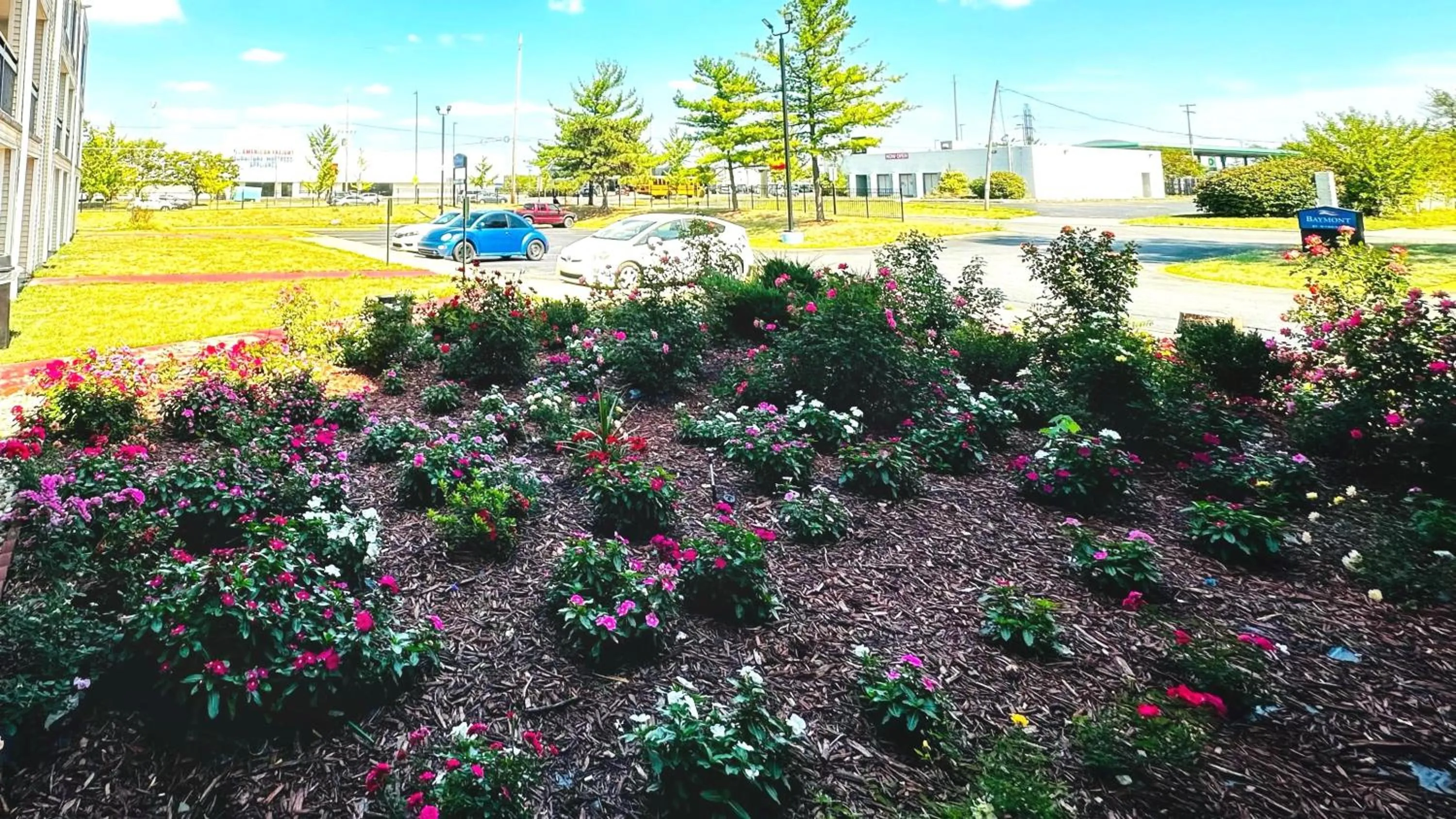 Garden in Baymont Inn and Suites by Wyndham Columbus / Near OSU