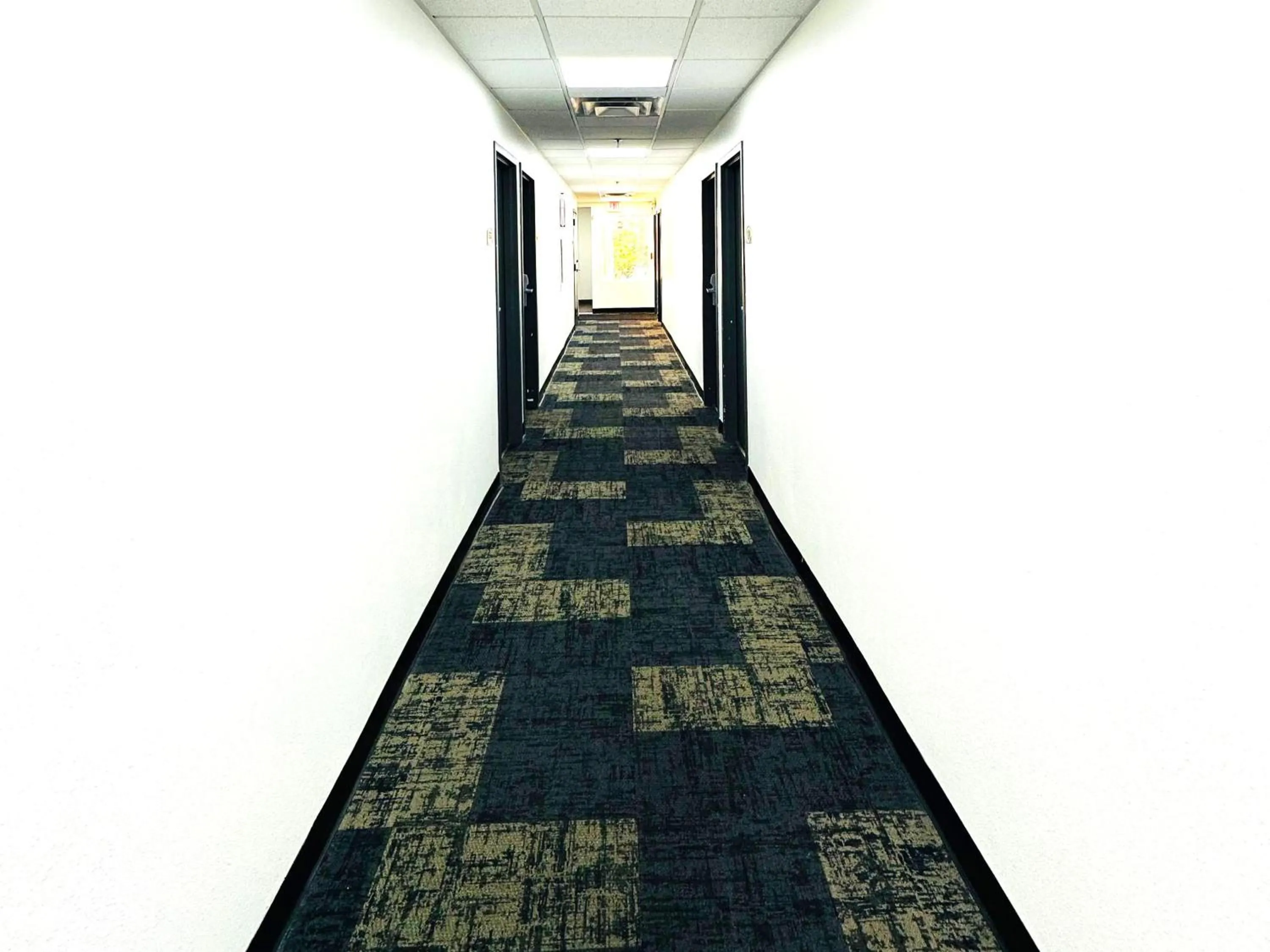 Lobby or reception in Baymont Inn and Suites by Wyndham Columbus / Near OSU