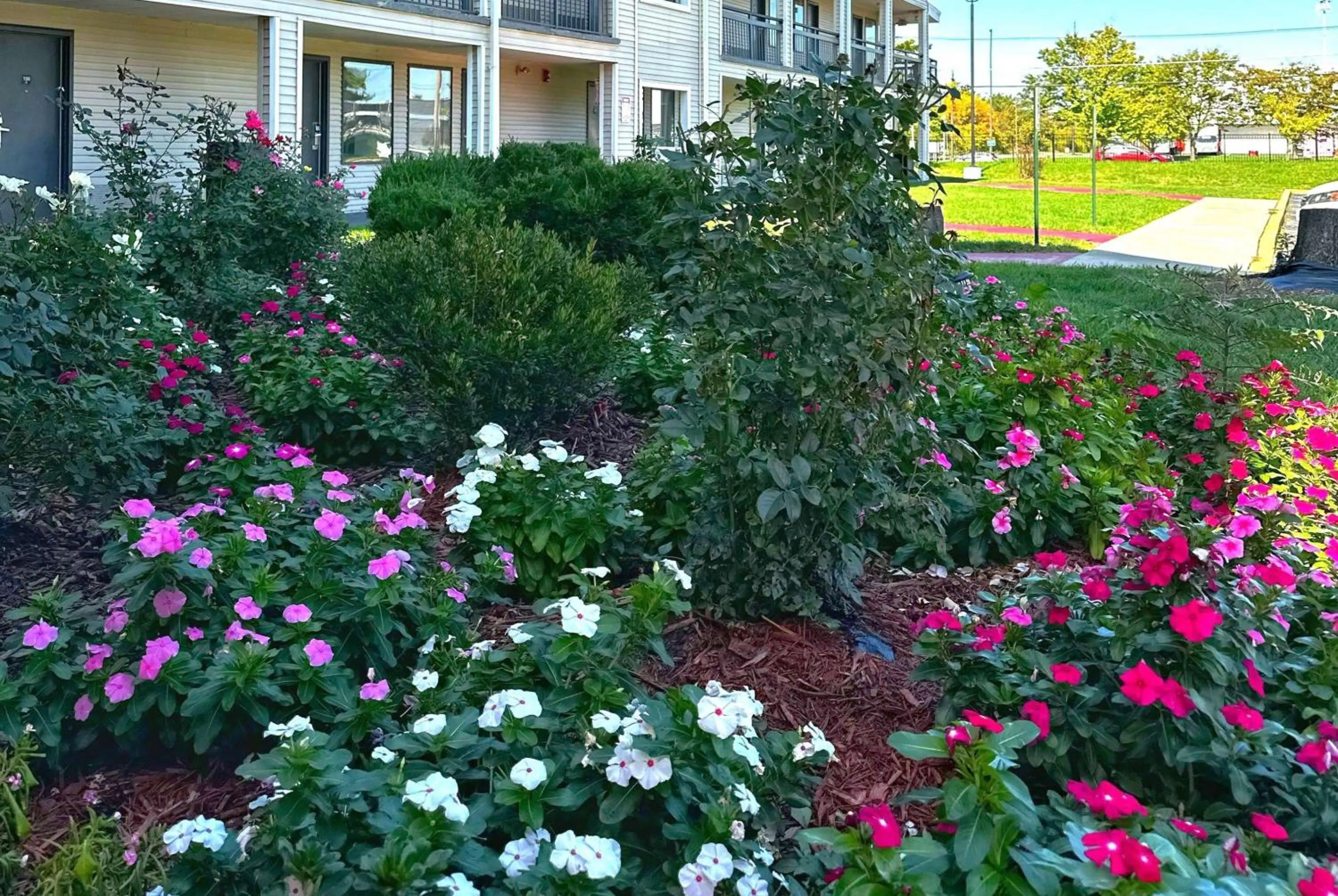 Other in Baymont Inn and Suites by Wyndham Columbus / Near OSU