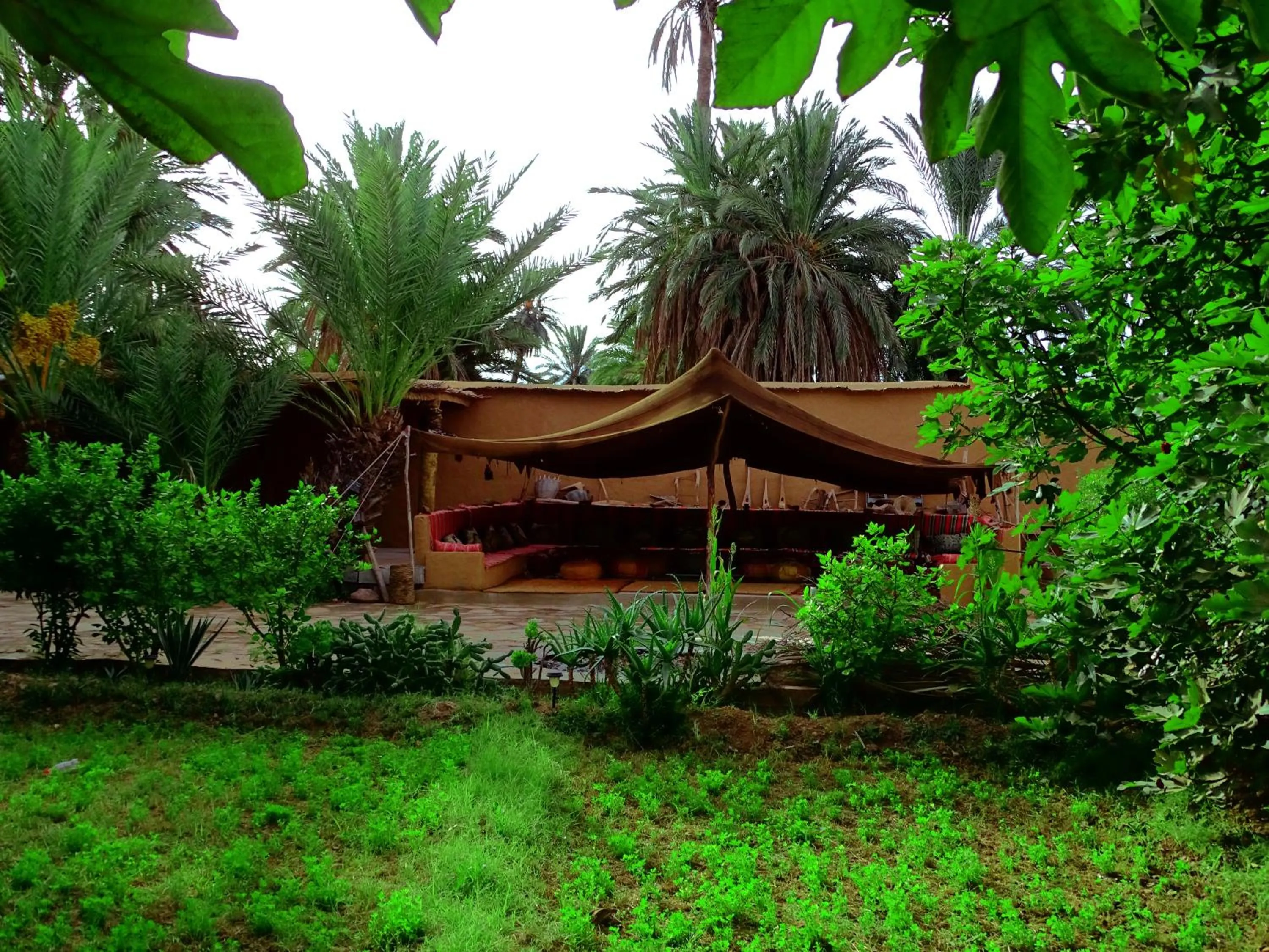 Garden in Maison Nomades