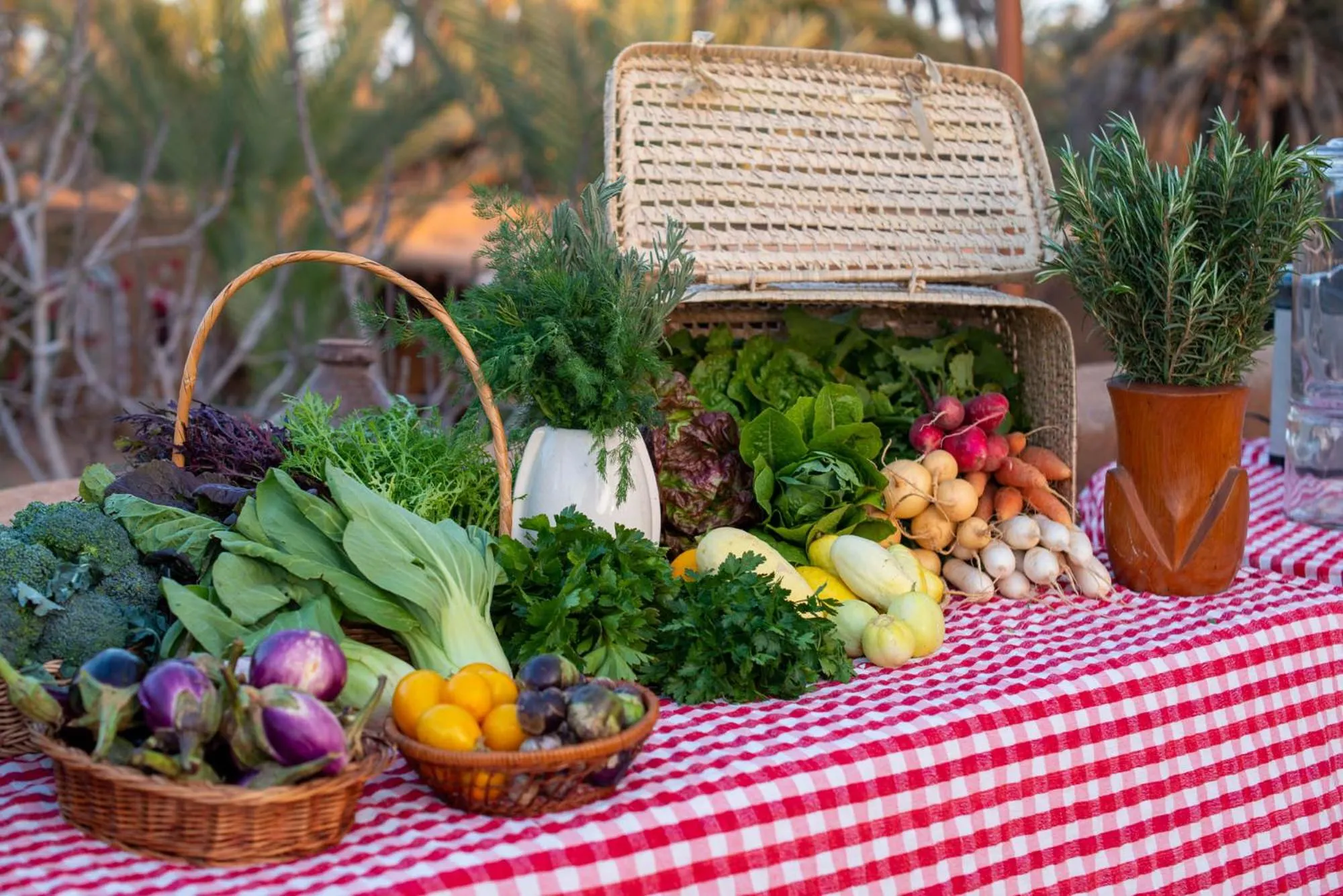 Food in Maison Nomades