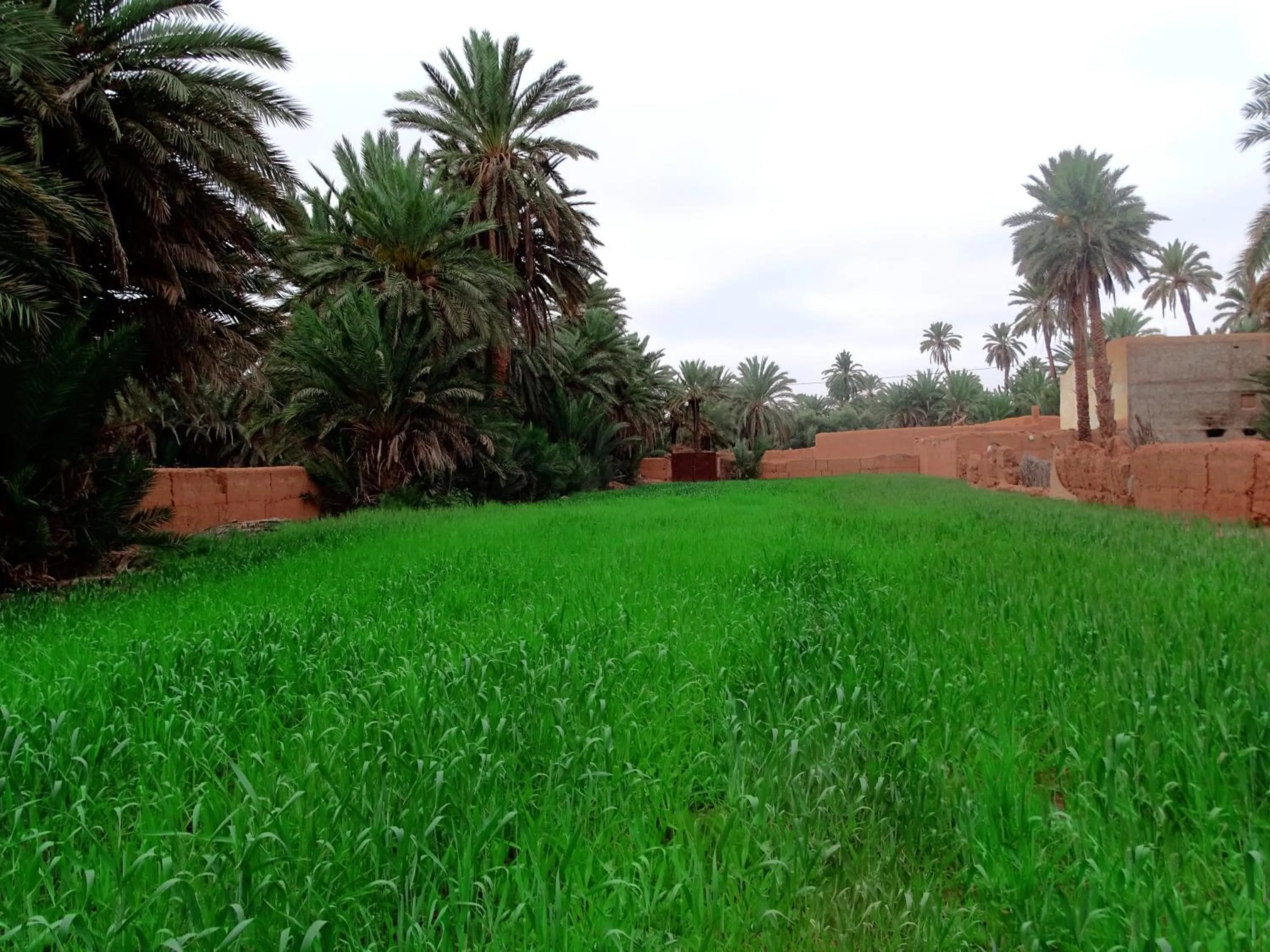 Place of worship in Maison Nomades