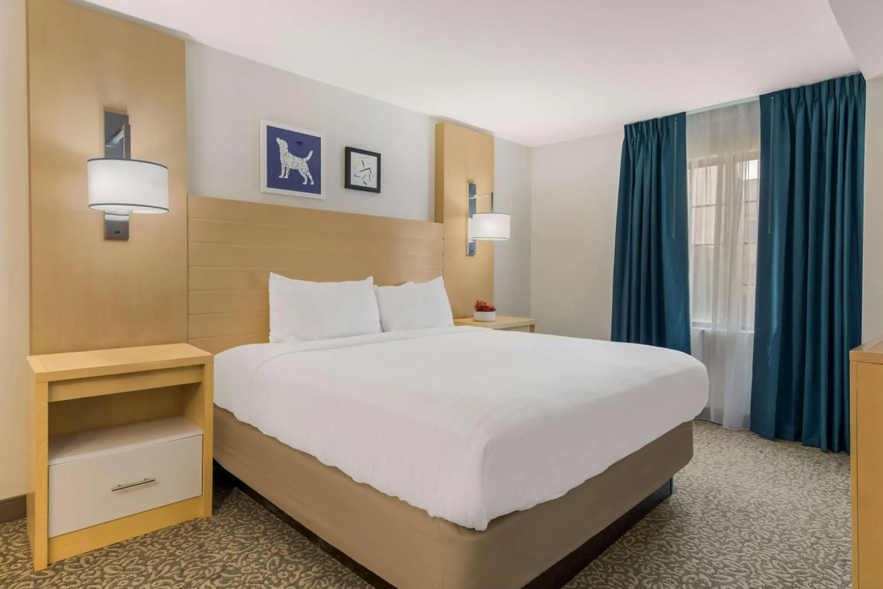 Double Room in Sonesta ES Suites Charlotte Arrowood Double Room in Sonesta ES Suites Charlotte Arrowood