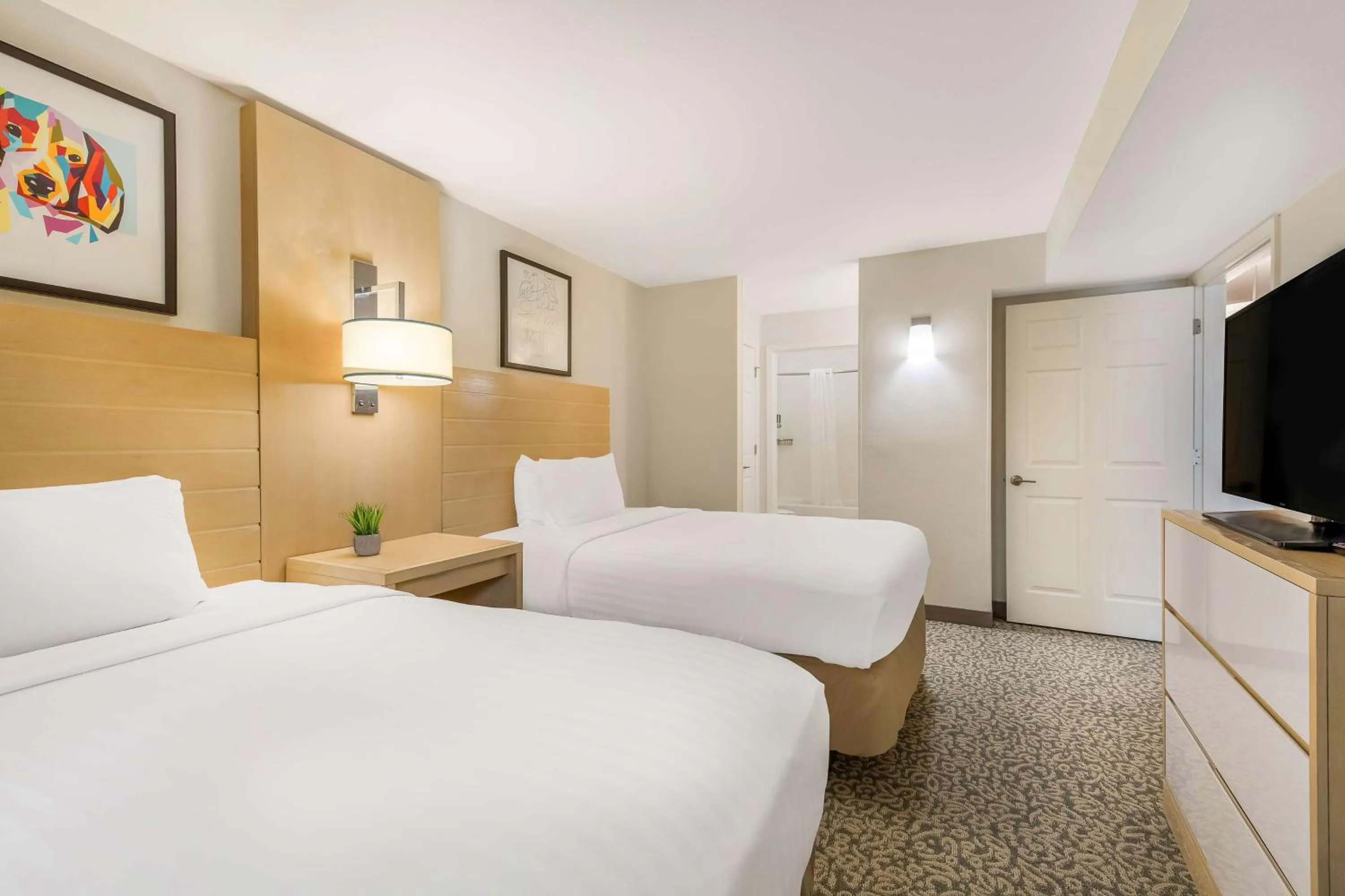Bedroom, Bed in Sonesta ES Suites Charlotte Arrowood