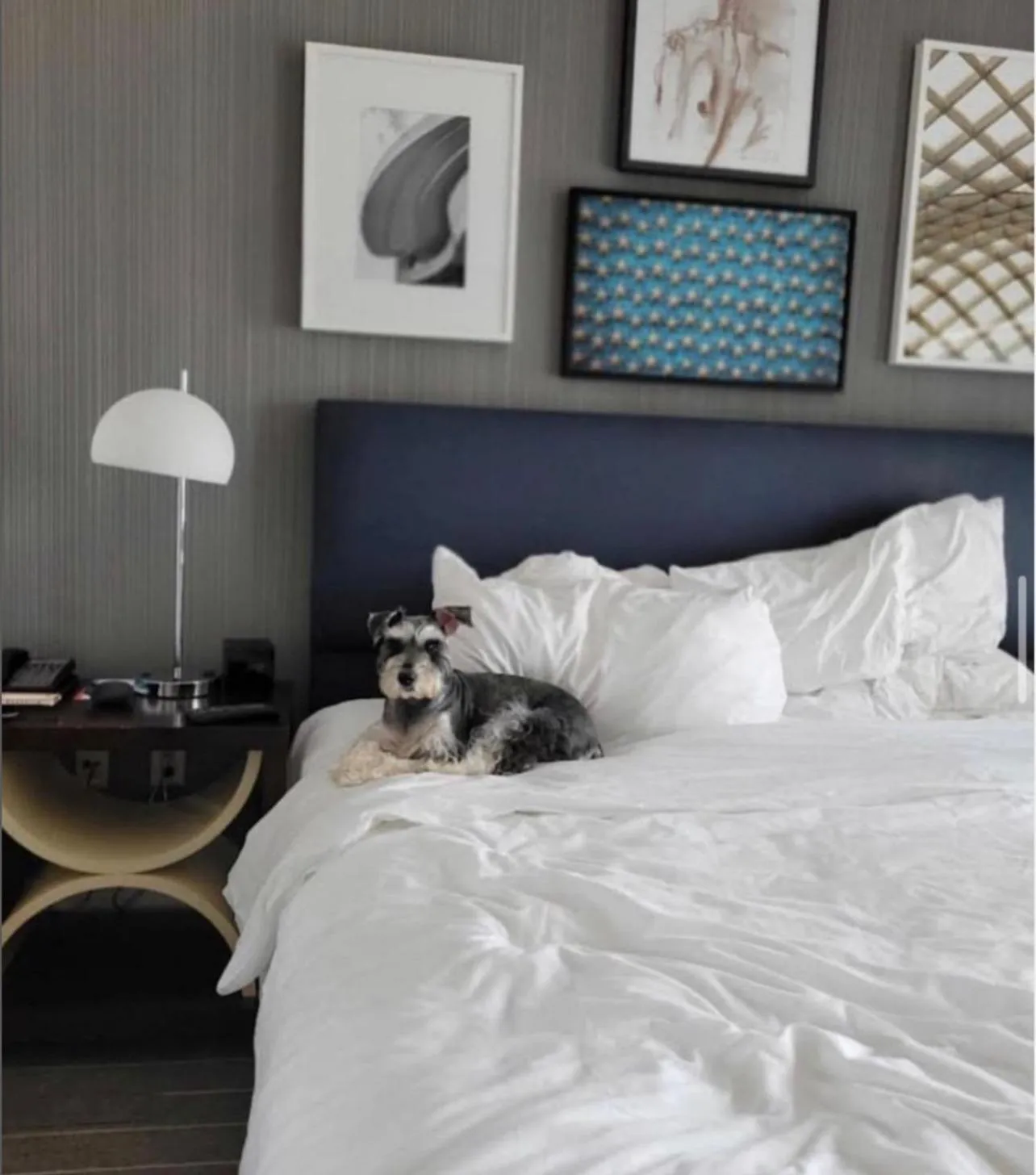 Bed in Le Meridien Arlington