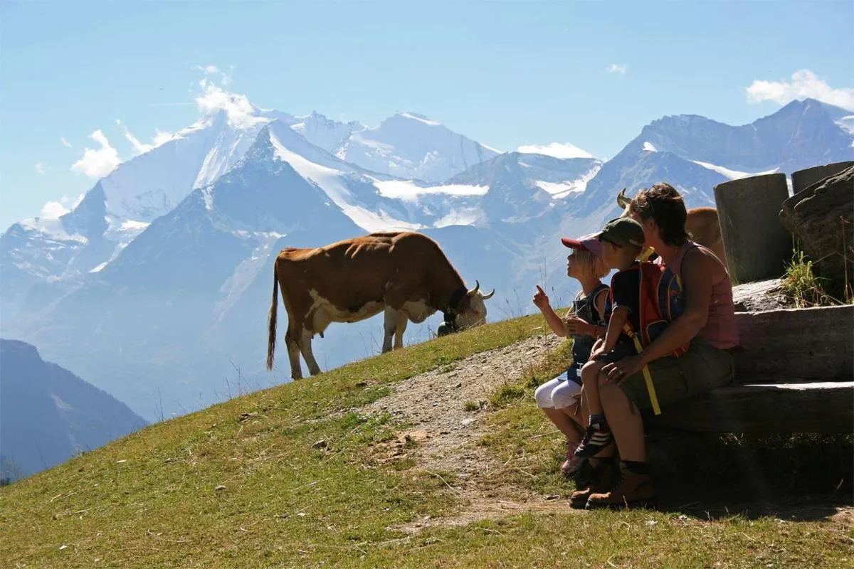 Lifestyle & Spa Hotel Grächerhof