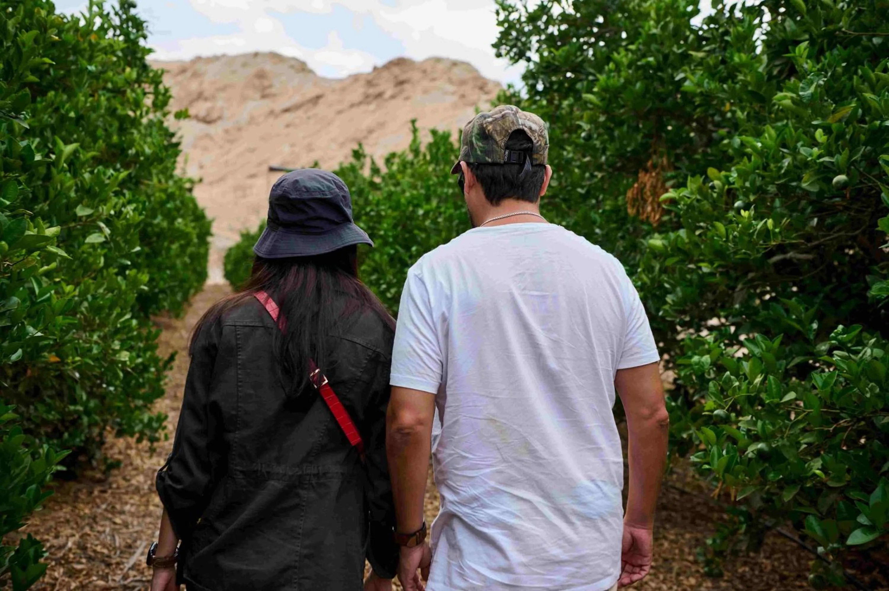 Activities in Empedrada Ranch & Lodge - Hotel Asociado Casa Andina