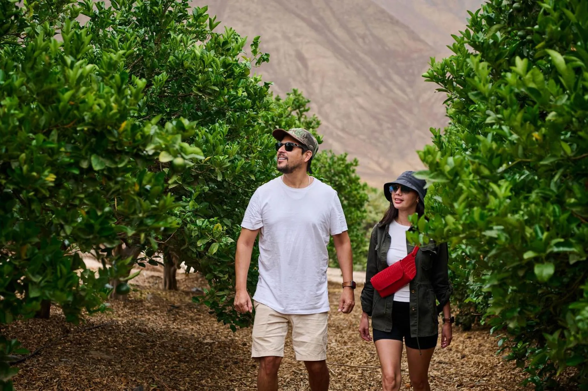 Activities in Empedrada Ranch & Lodge - Hotel Asociado Casa Andina