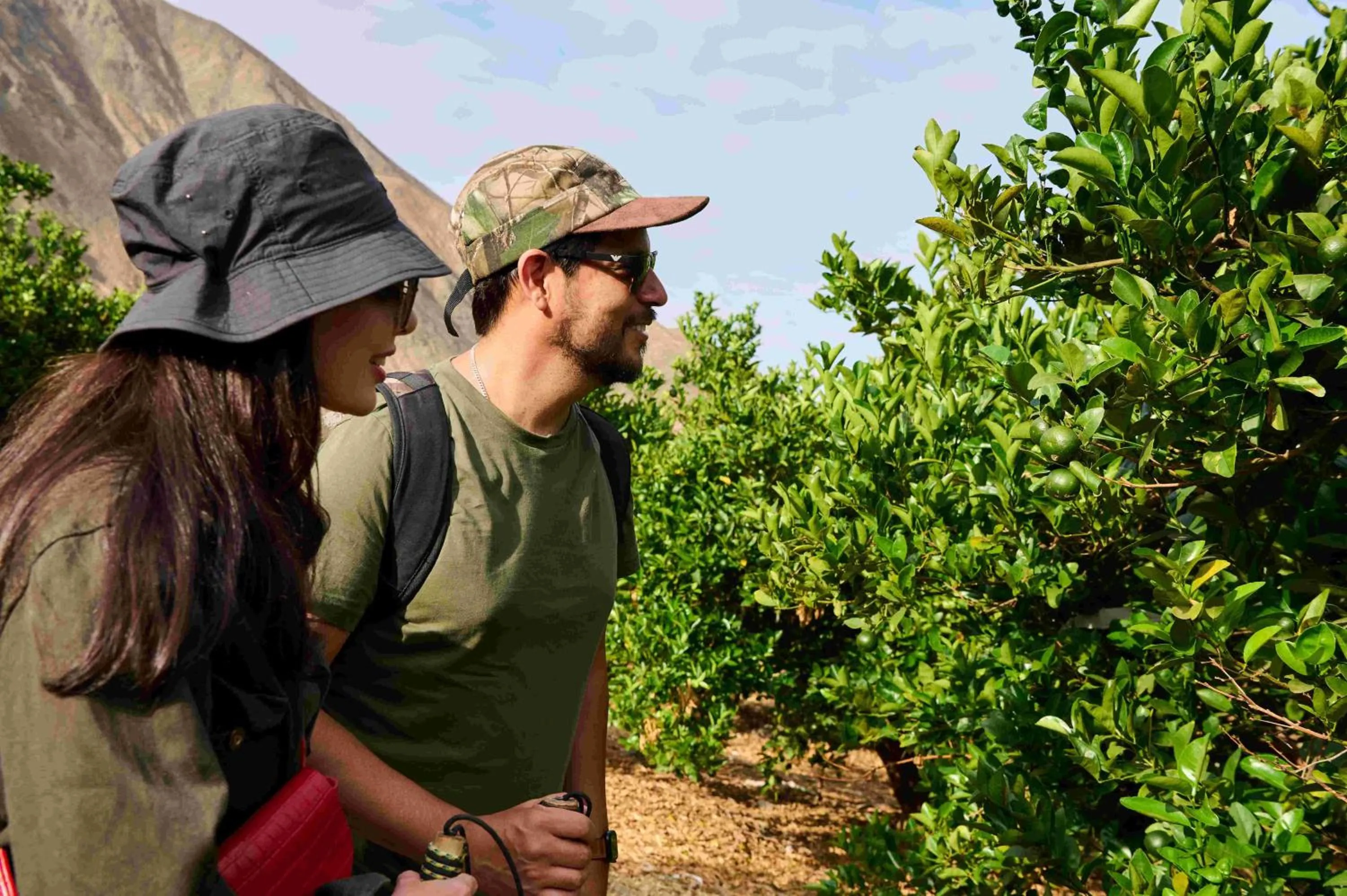 Activities in Empedrada Ranch & Lodge - Hotel Asociado Casa Andina