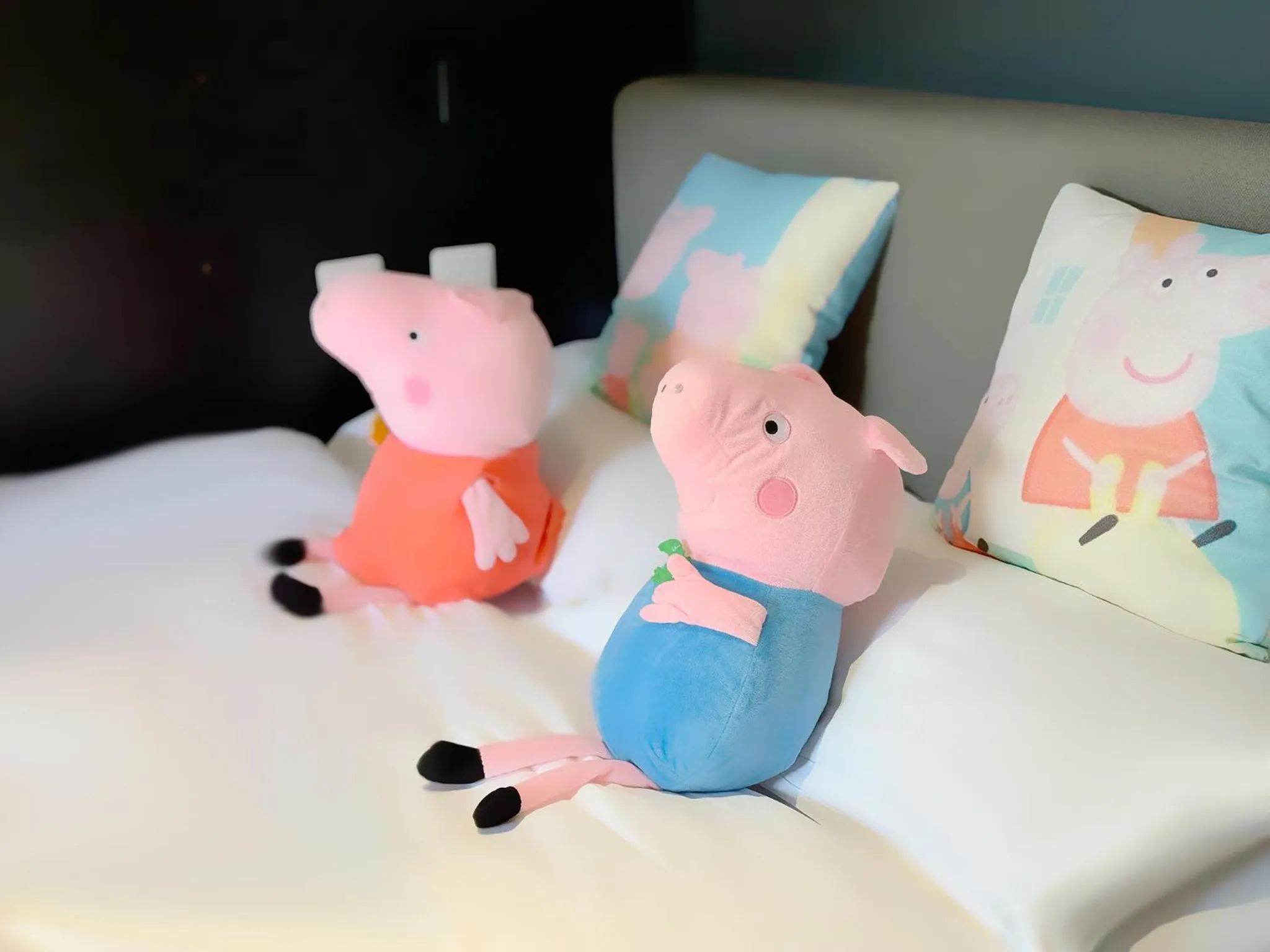 Bedroom, Bed in Kunming Upland International Youth Hostel near the city center ,2 mins walk to the subway, 2 mins walk to the Green Lake, Close to Yuan tong Temple, Old street, Yunnan University, English-speaking service convenient payment and visa cards are accepted