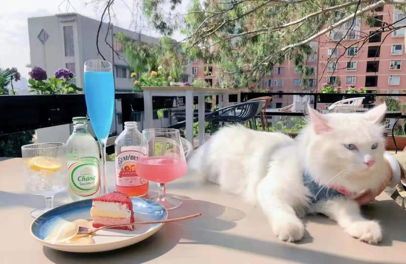 Seating area in Kunming Upland International Youth Hostel near the city center ,2 mins walk to the subway, 2 mins walk to the Green Lake, Close to Yuan tong Temple, Old street, Yunnan University, English-speaking service convenient payment and visa cards are accepted