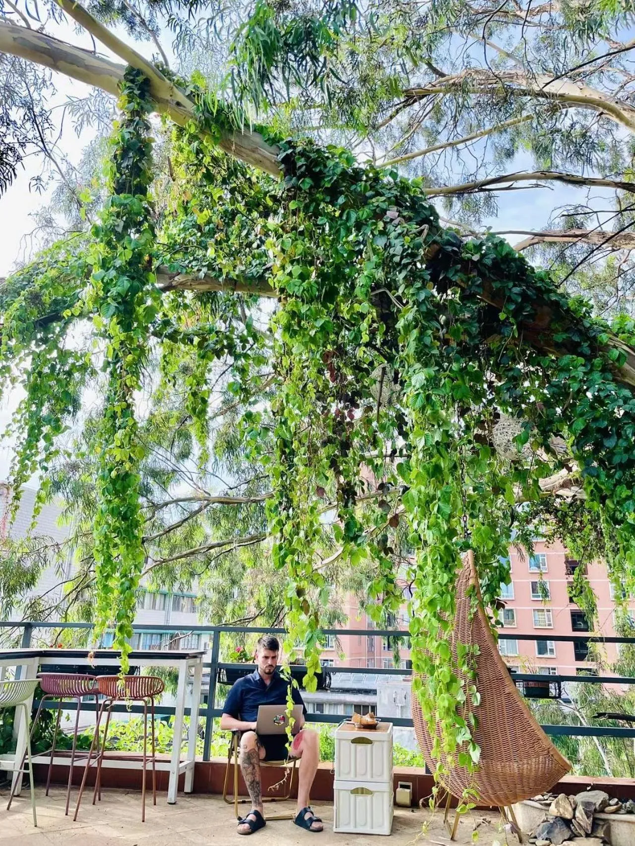 Property building in Kunming Upland International Youth Hostel near the city center ,2 mins walk to the subway, 2 mins walk to the Green Lake, Close to Yuan tong Temple, Old street, Yunnan University, English-speaking service convenient payment and visa cards are accepted