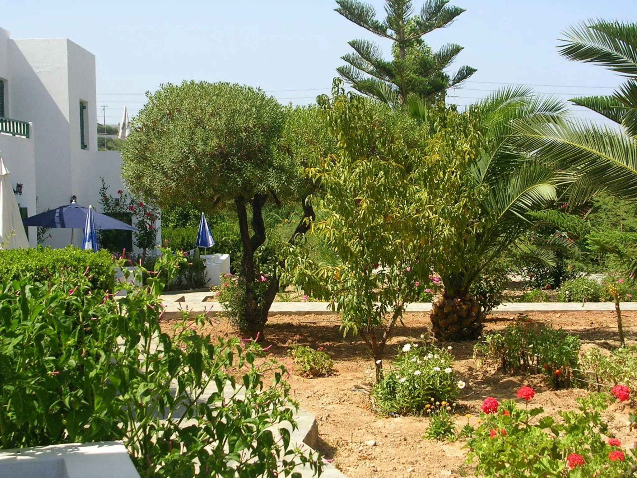 Garden in Sirius Apartments