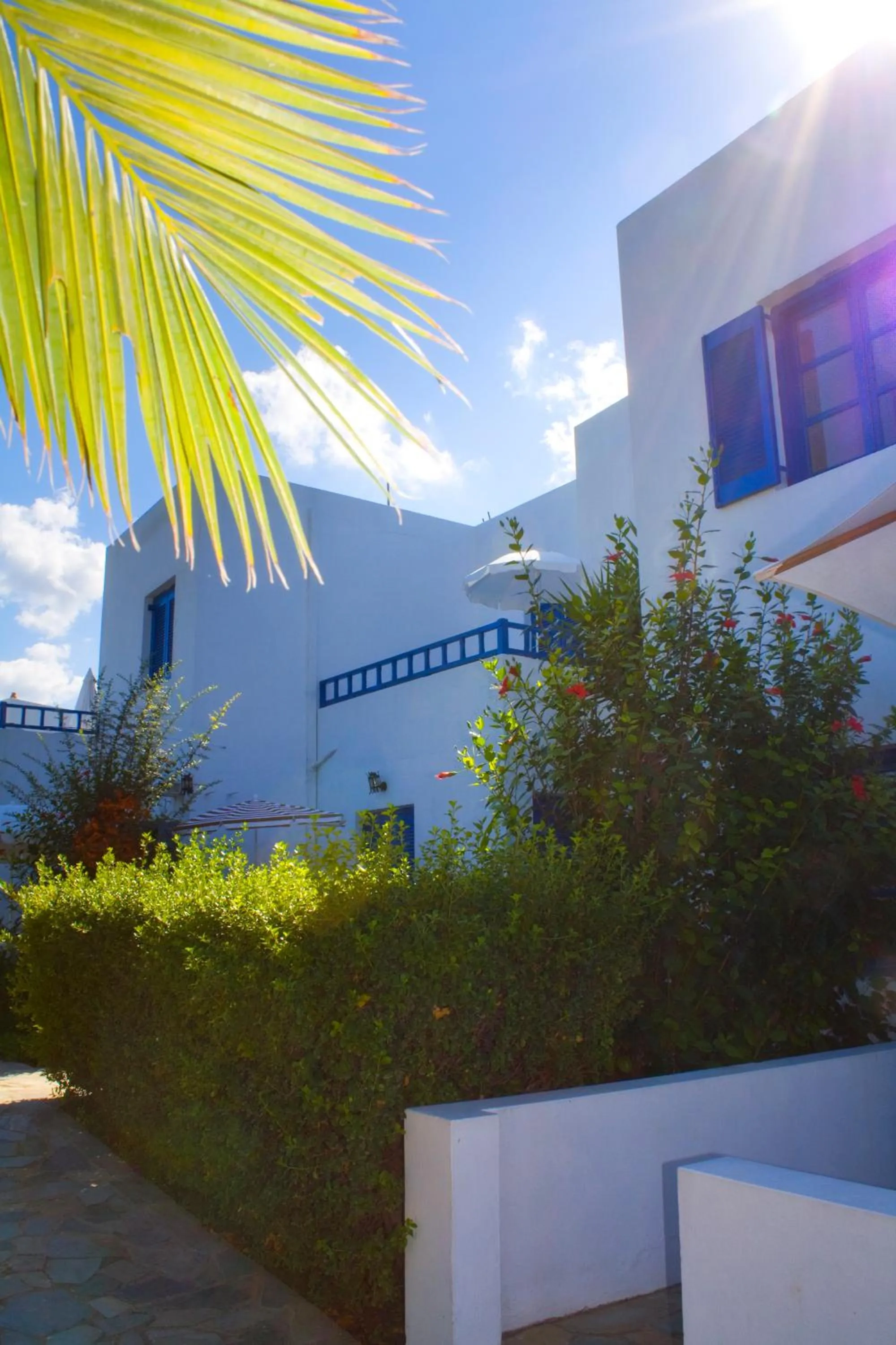 Garden in Sirius Apartments