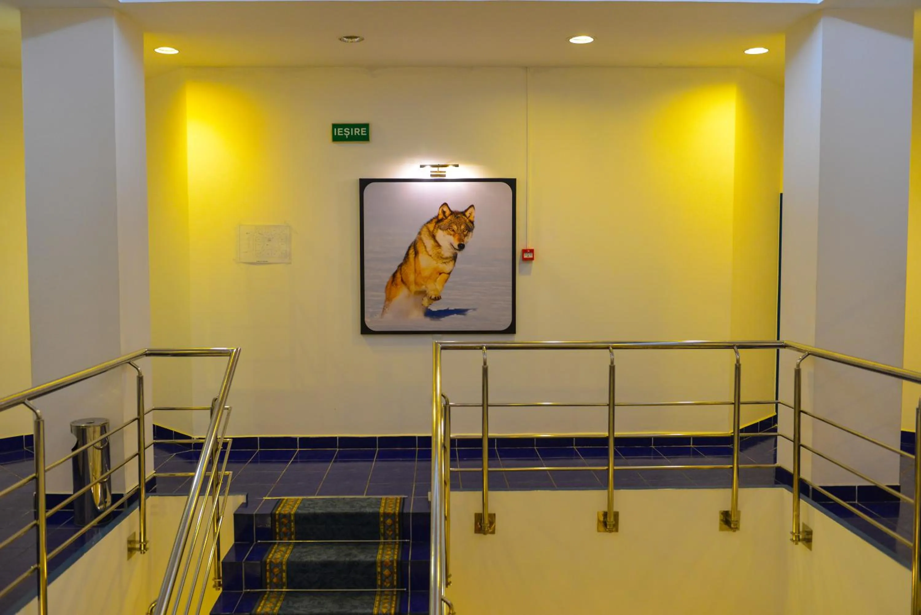 Other in Motel Carmen