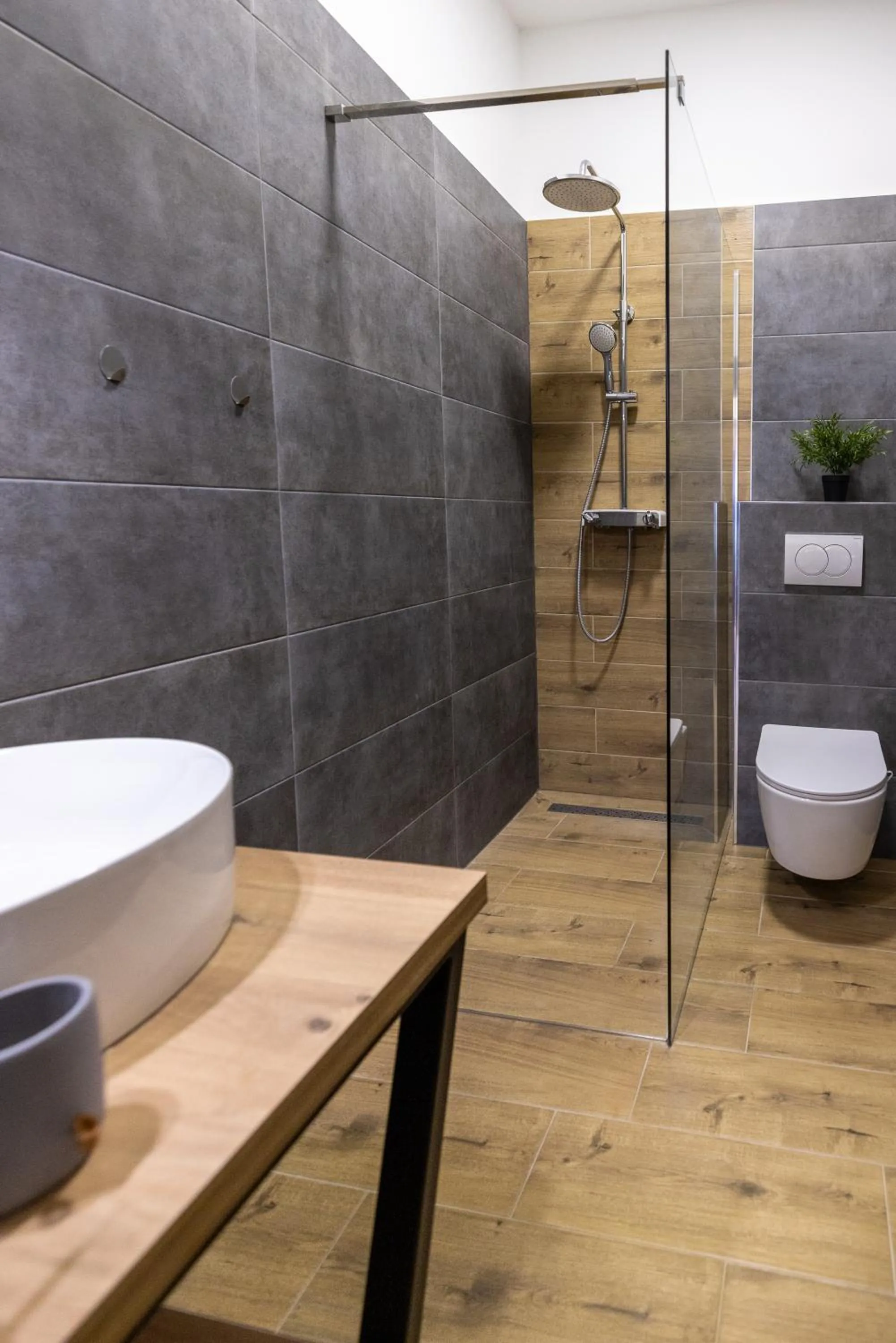 Shower in Rooms Lišnić