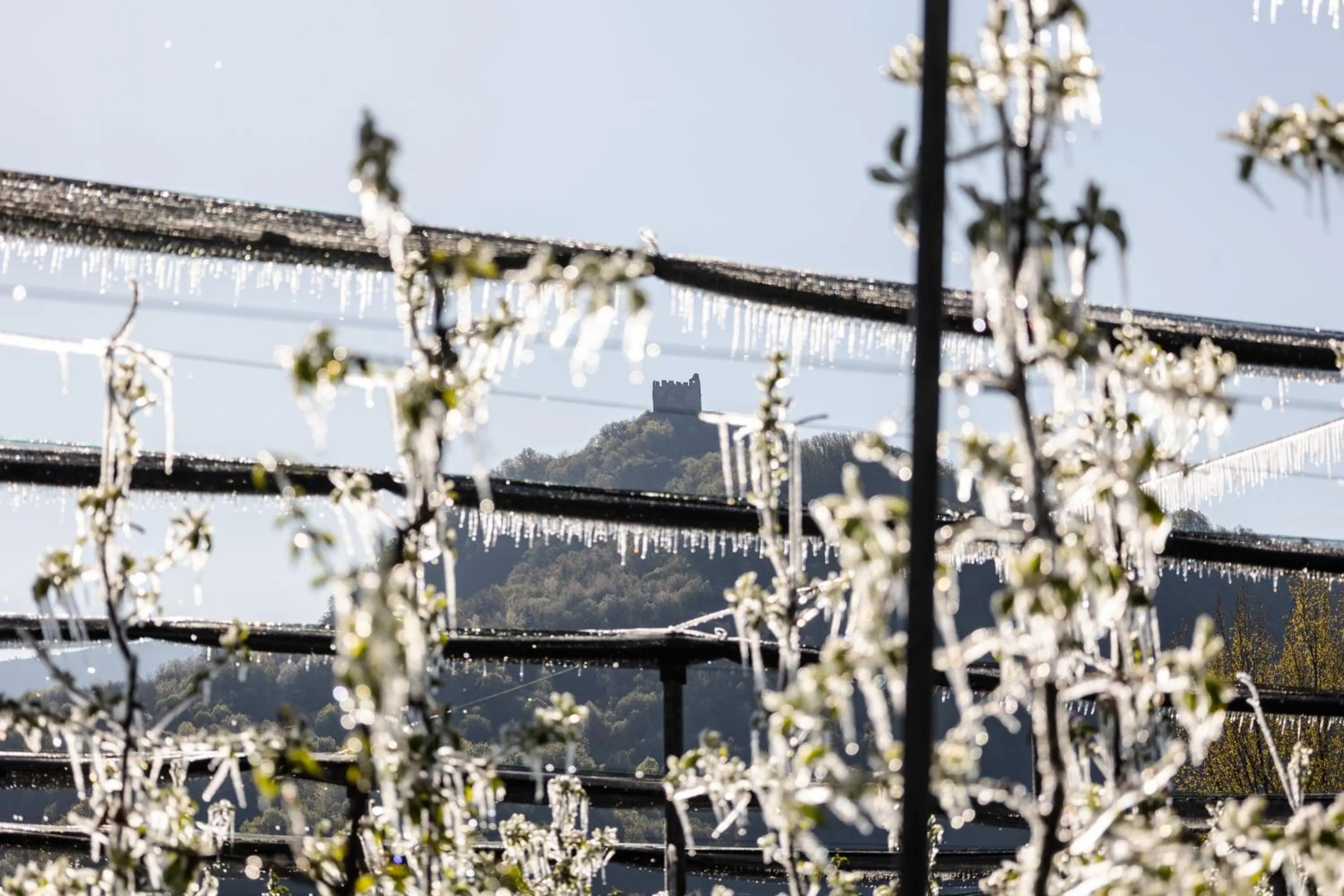 Spring in Chalet Agave