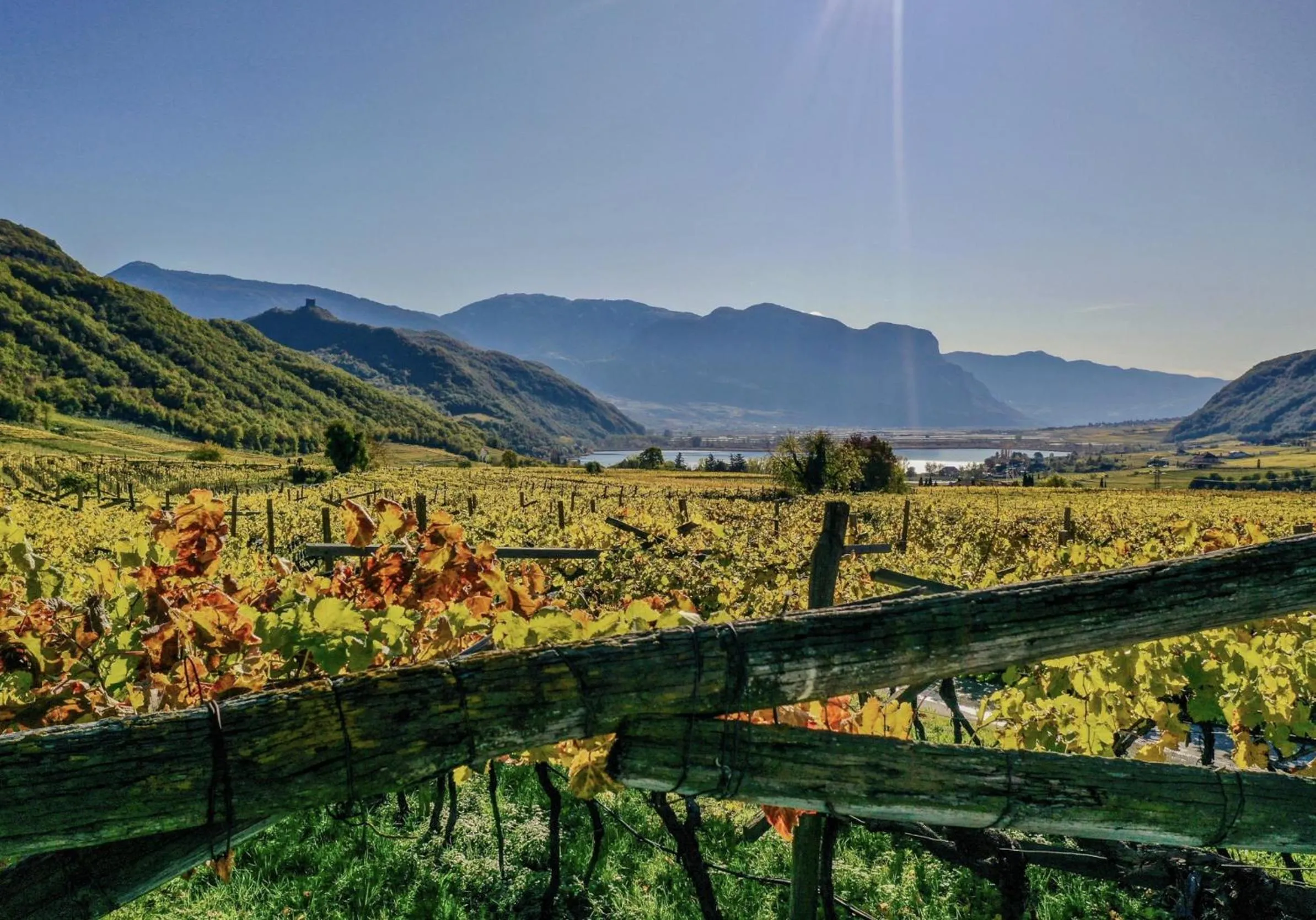 Natural landscape in Chalet Agave