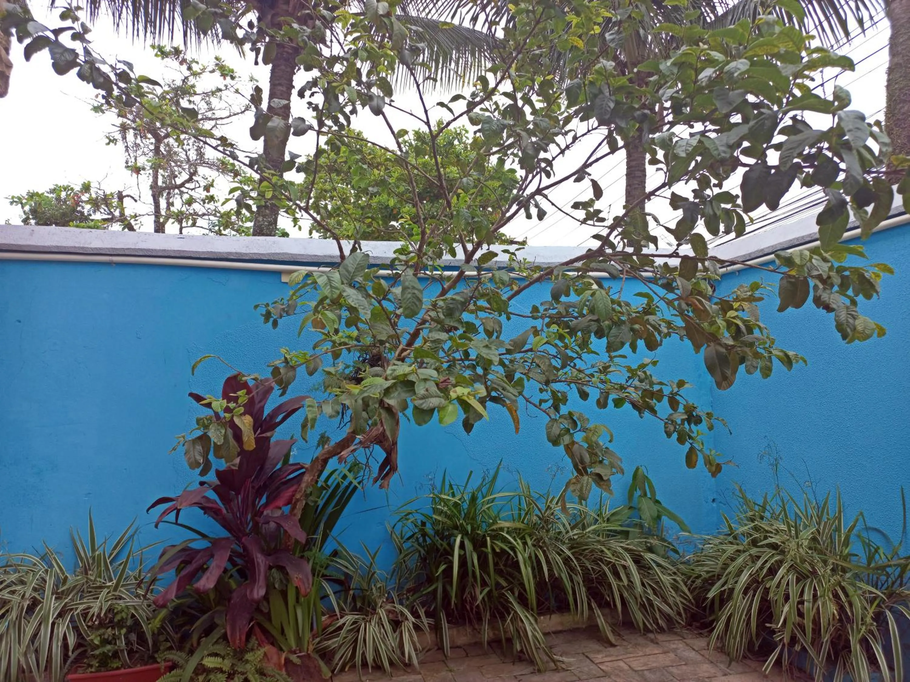 Property building in Pousada Hotel Canto dos Mares