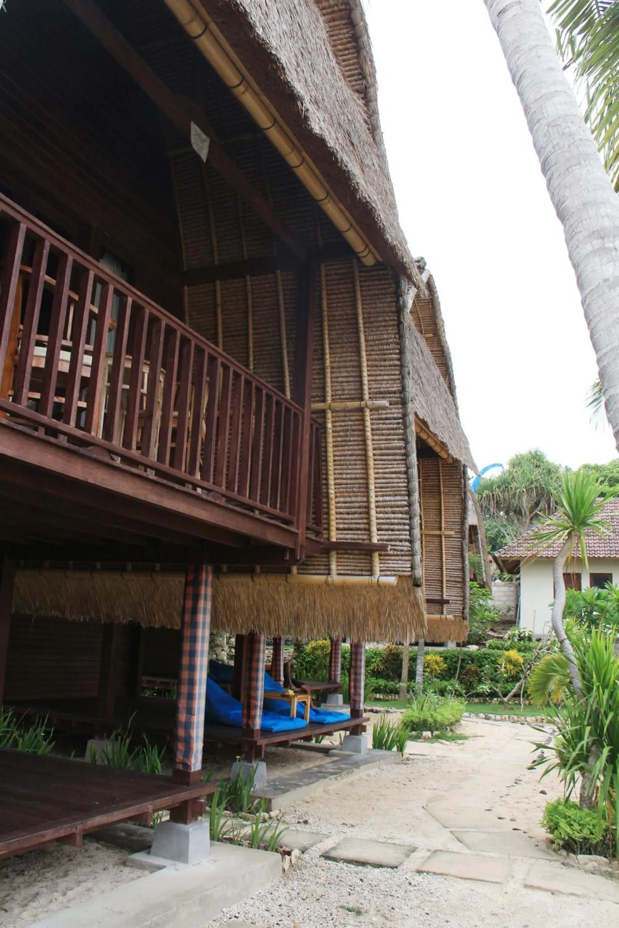 Balcony/Terrace in MolaMola House