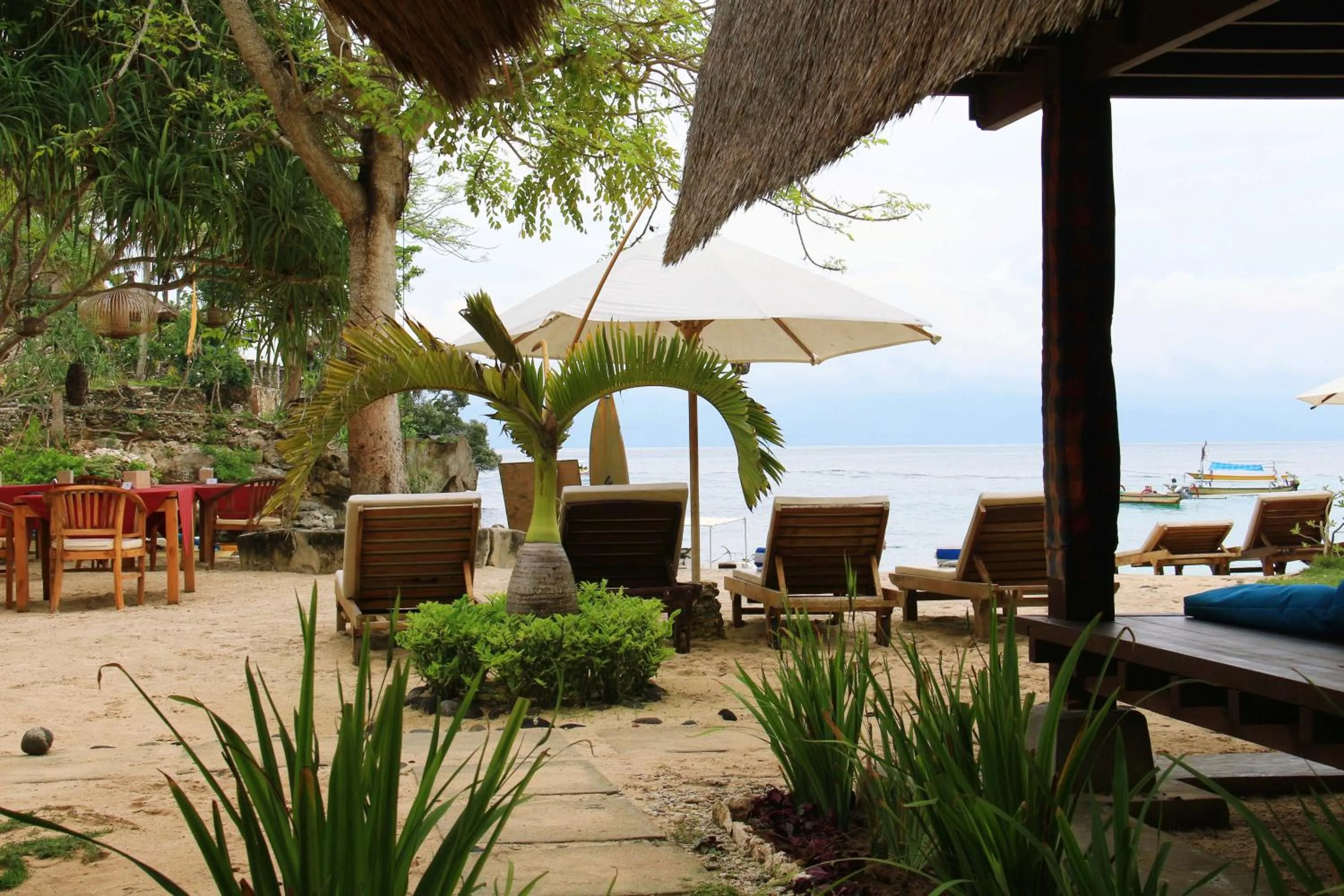 Beach in MolaMola House