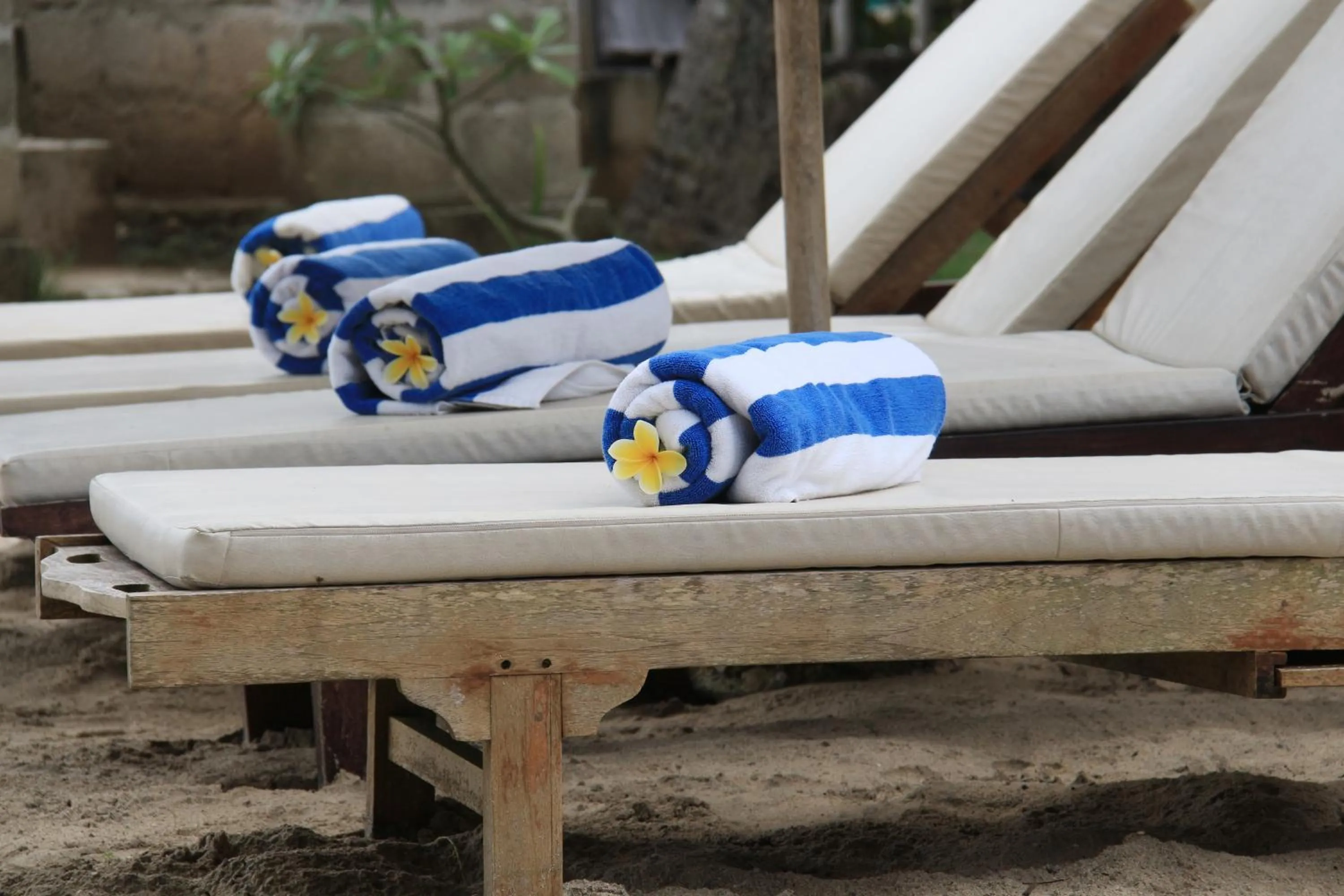 Facade/entrance in MolaMola House