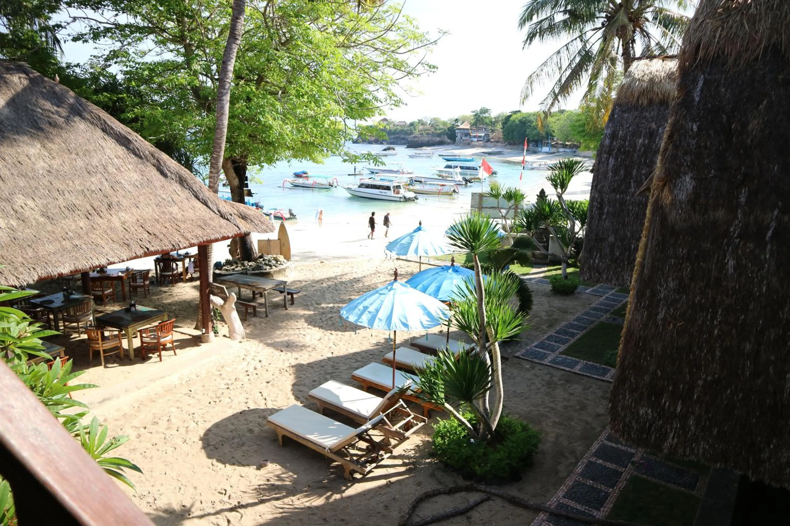 On site in MolaMola House