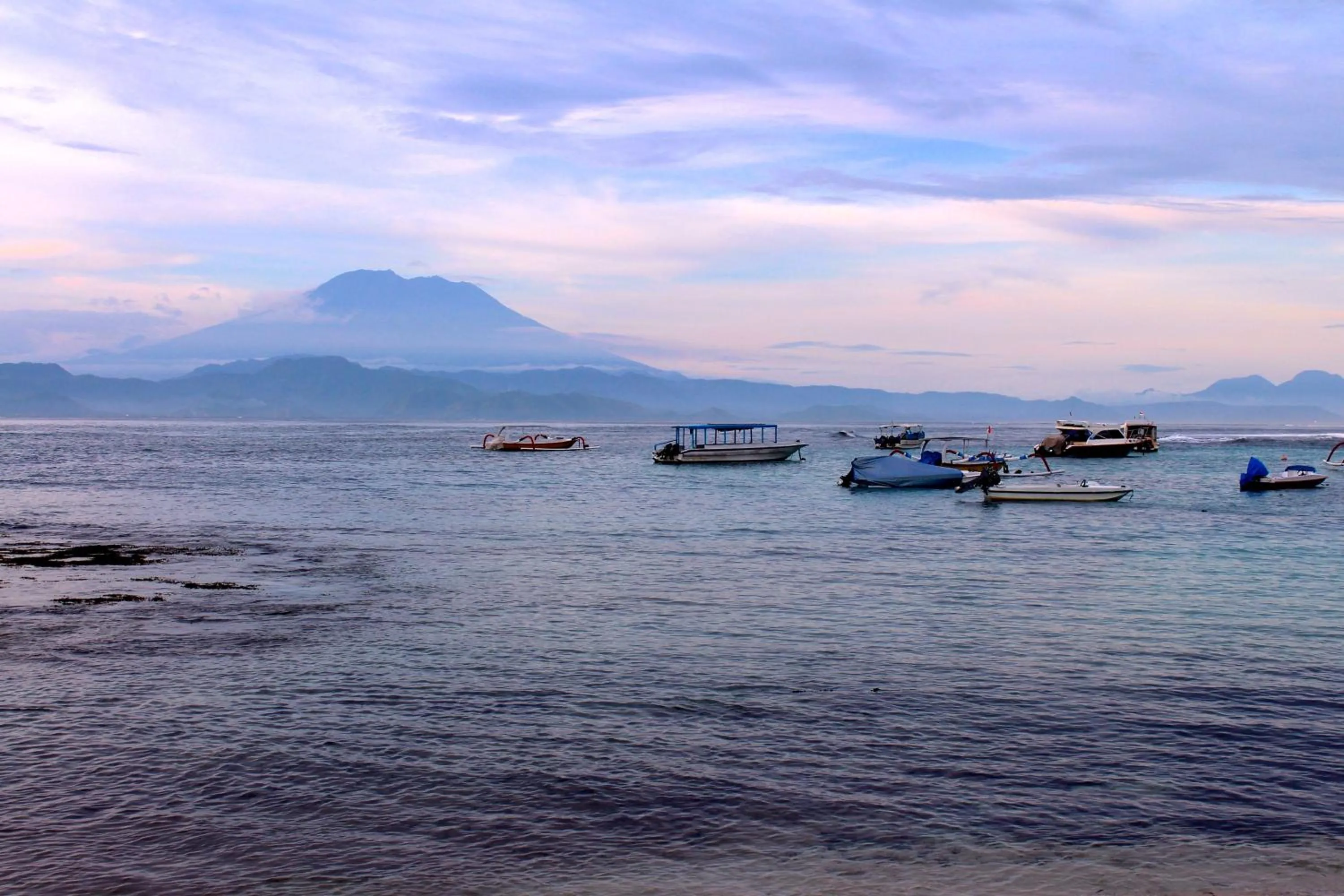 Area and facilities in MolaMola House